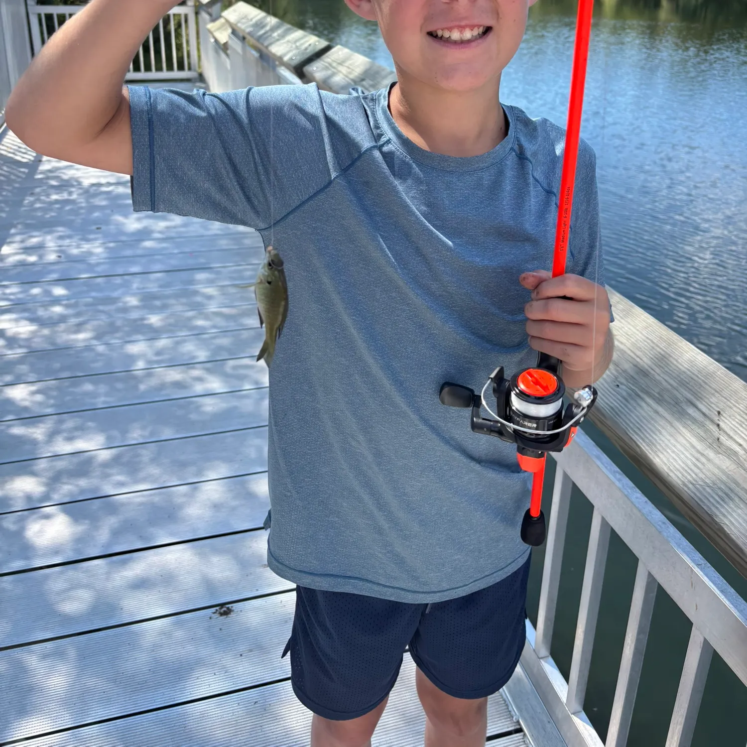 Bluegill caught on Fishbrain