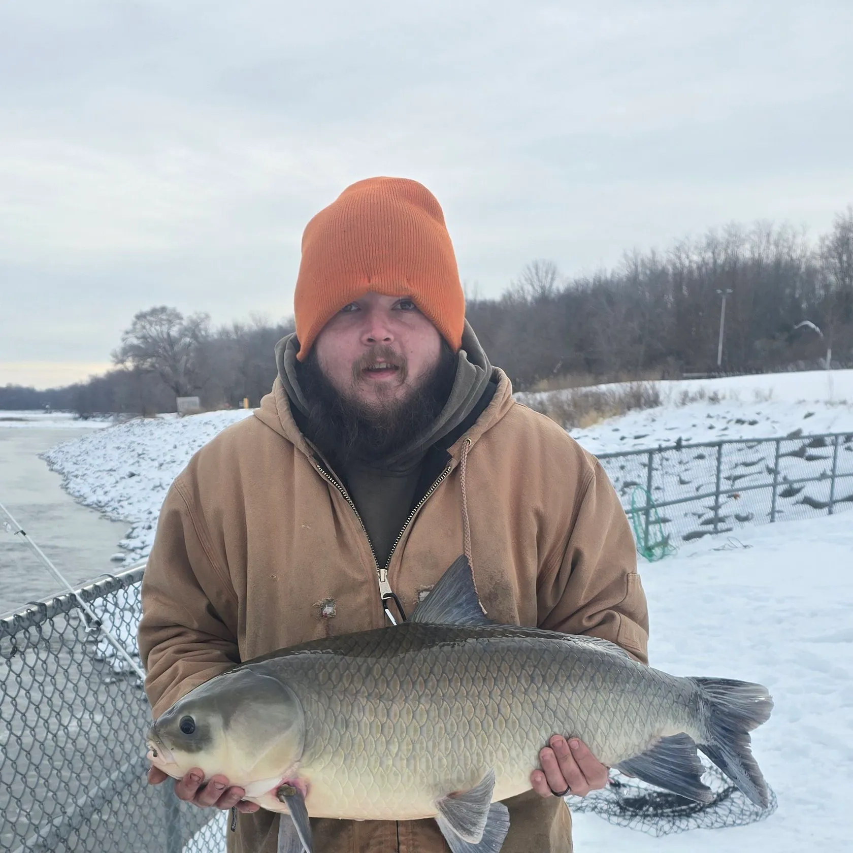 The most recent Bigmouth buffalo catches on Fishbrain