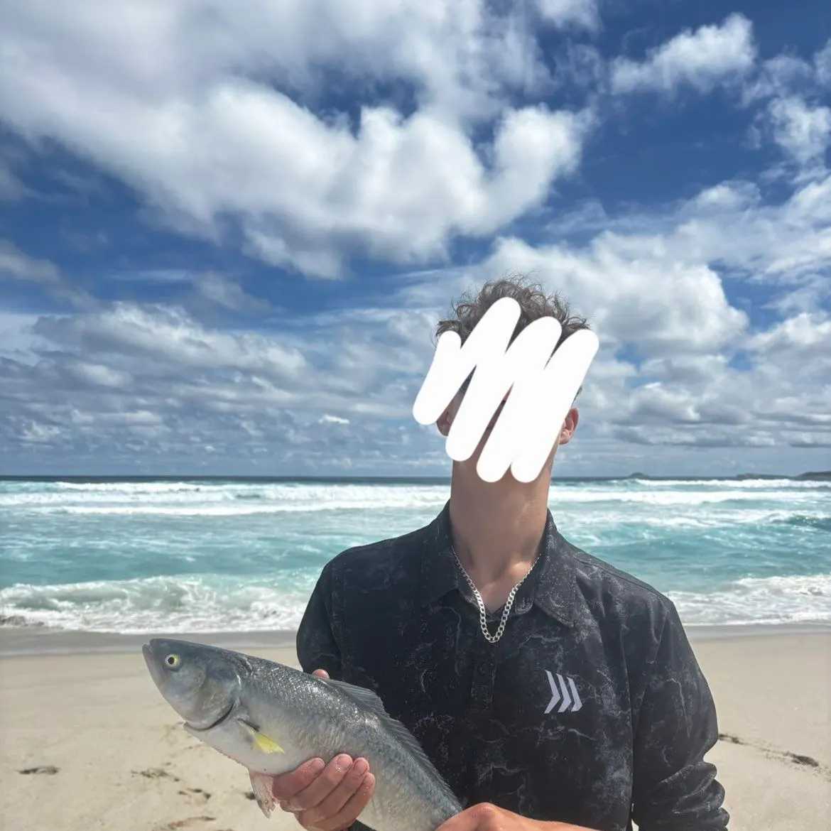 The most recent Western Australian salmon catches on Fishbrain