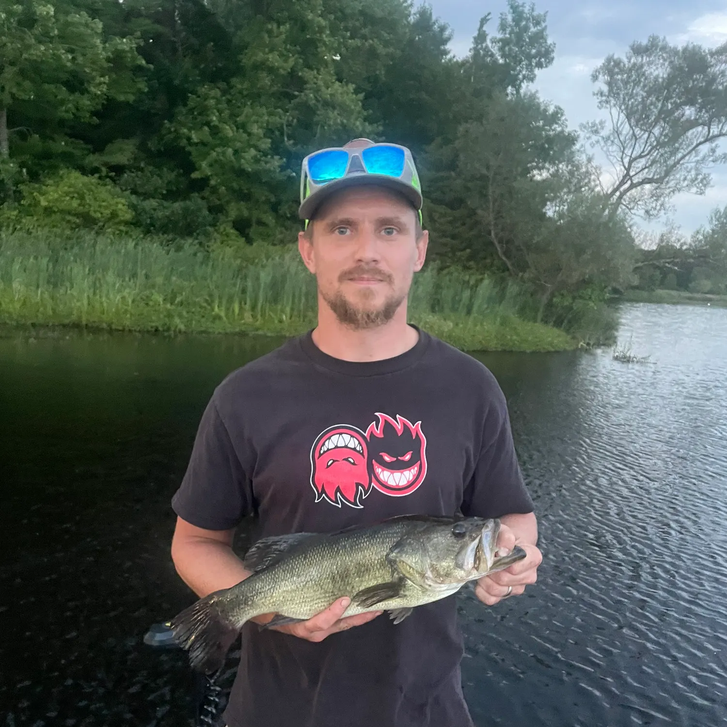 Largemouth bass caught on Fishbrain