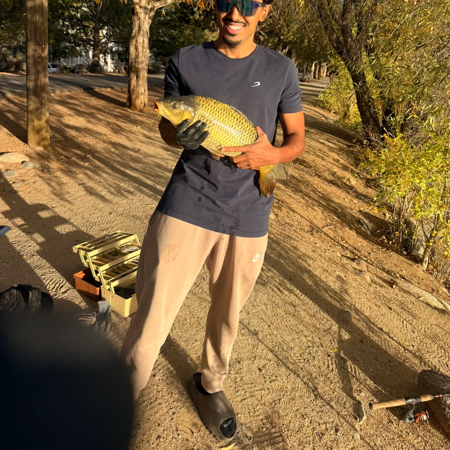 Common carp caught on Fishbrain