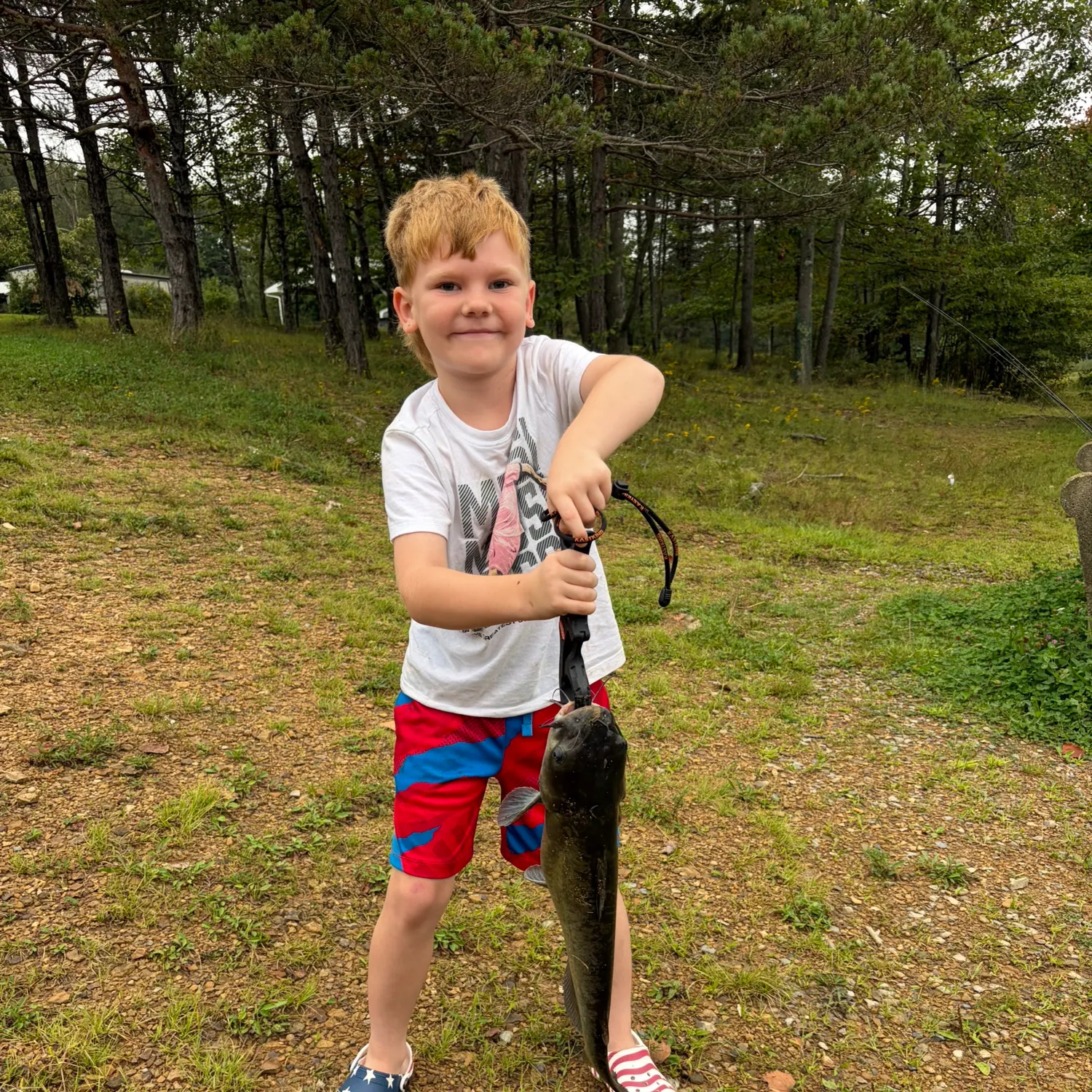 Channel catfish caught on Fishbrain
