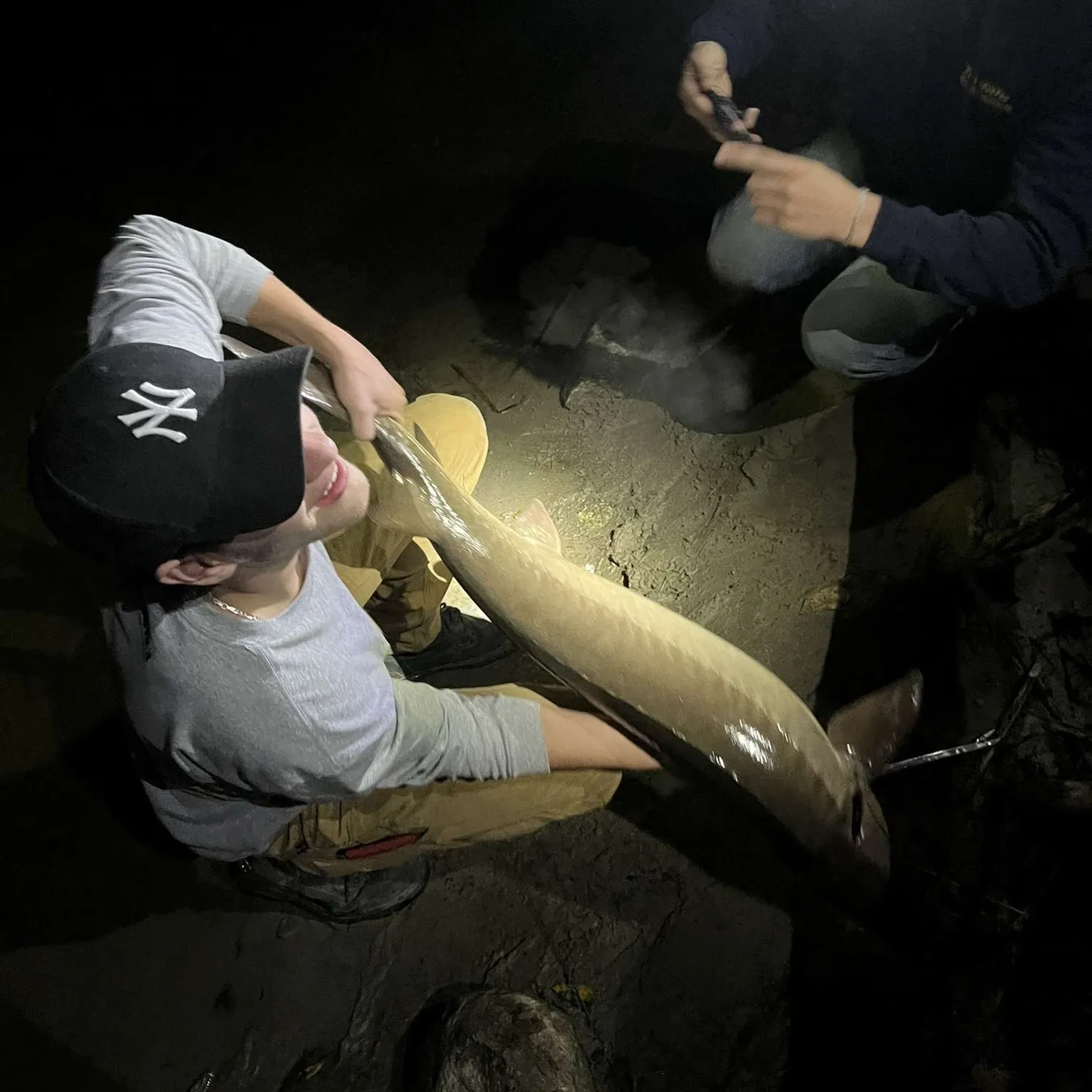 The most recent Lake sturgeon catches on Fishbrain