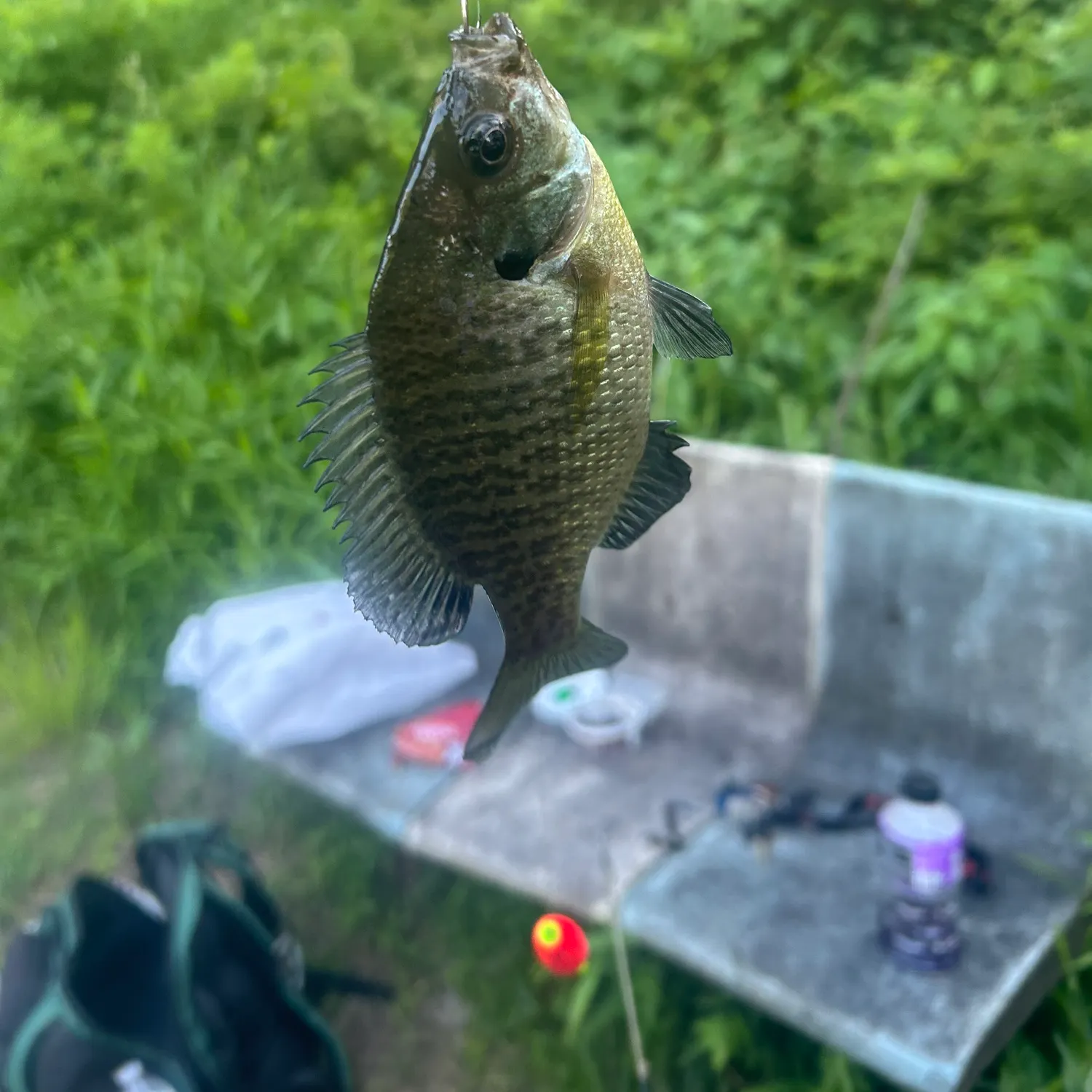 catch