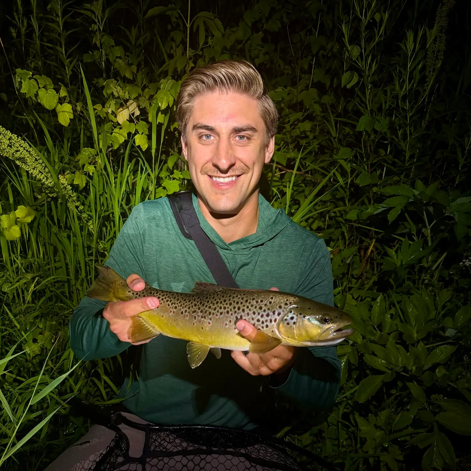 The most recent Brown trout catches on Fishbrain