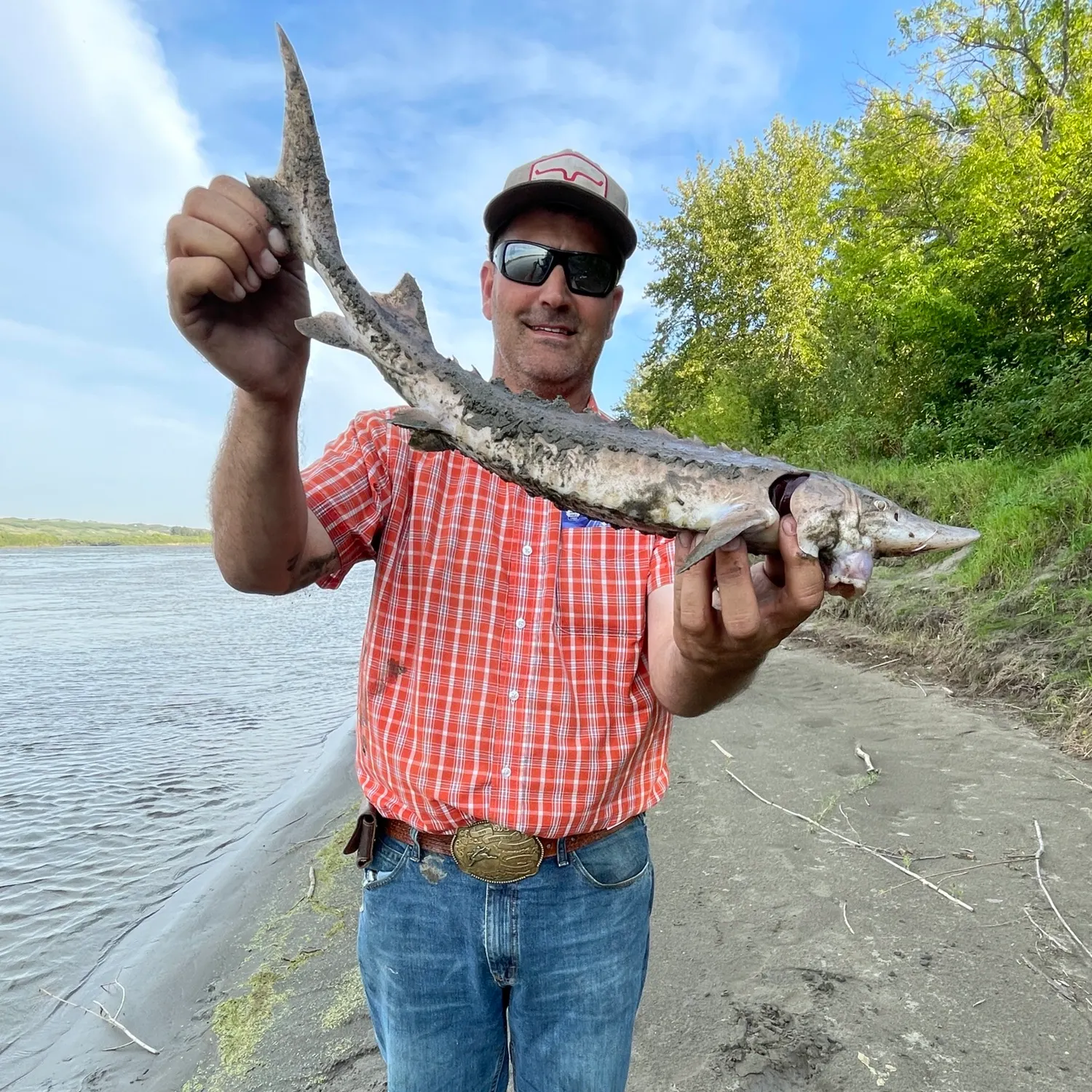 Lake sturgeon caught on Fishbrain