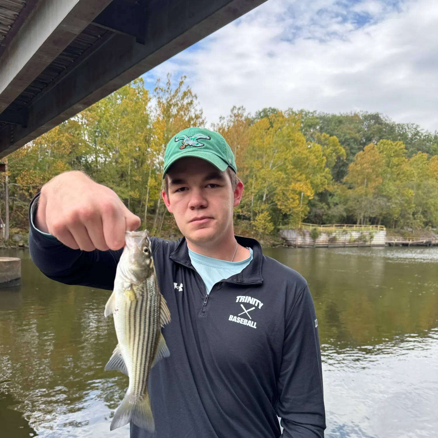 Striped bass caught on Fishbrain