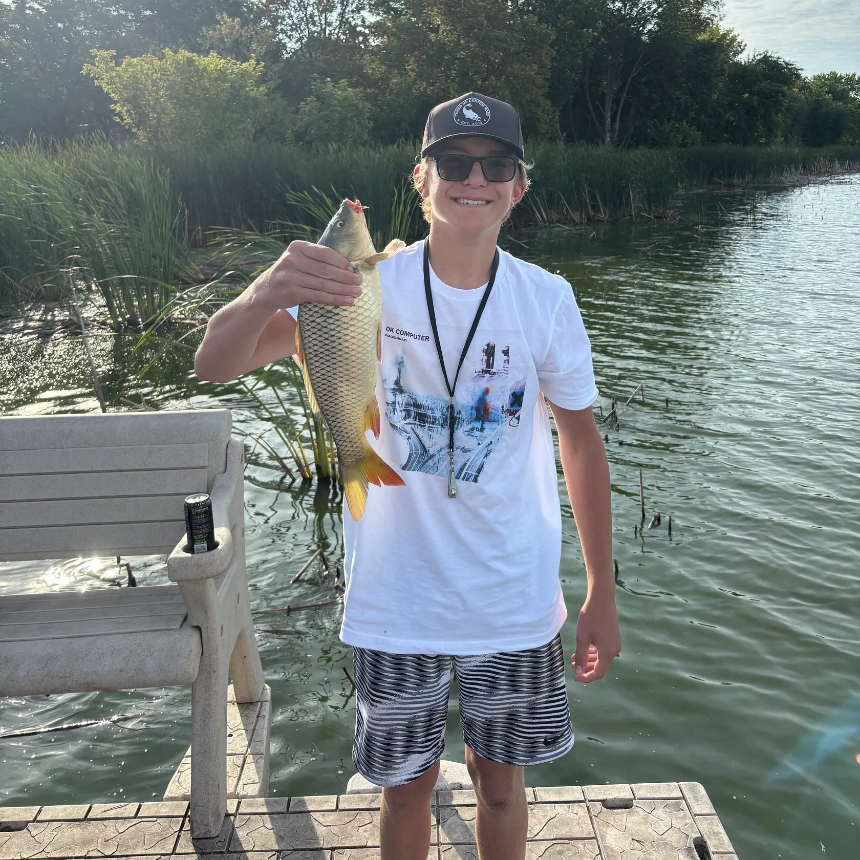Common carp caught on Fishbrain