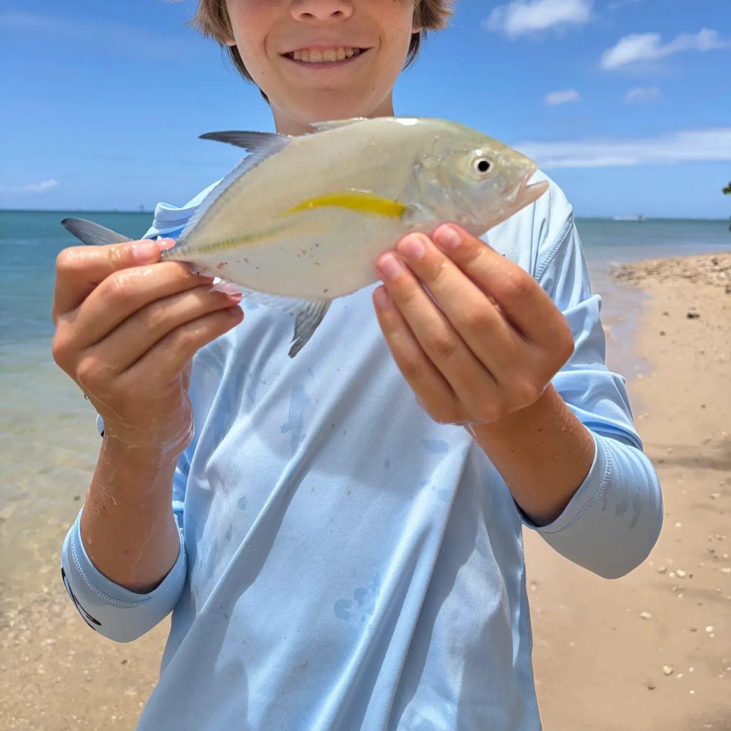 The most recent Bluefin trevally catches on Fishbrain