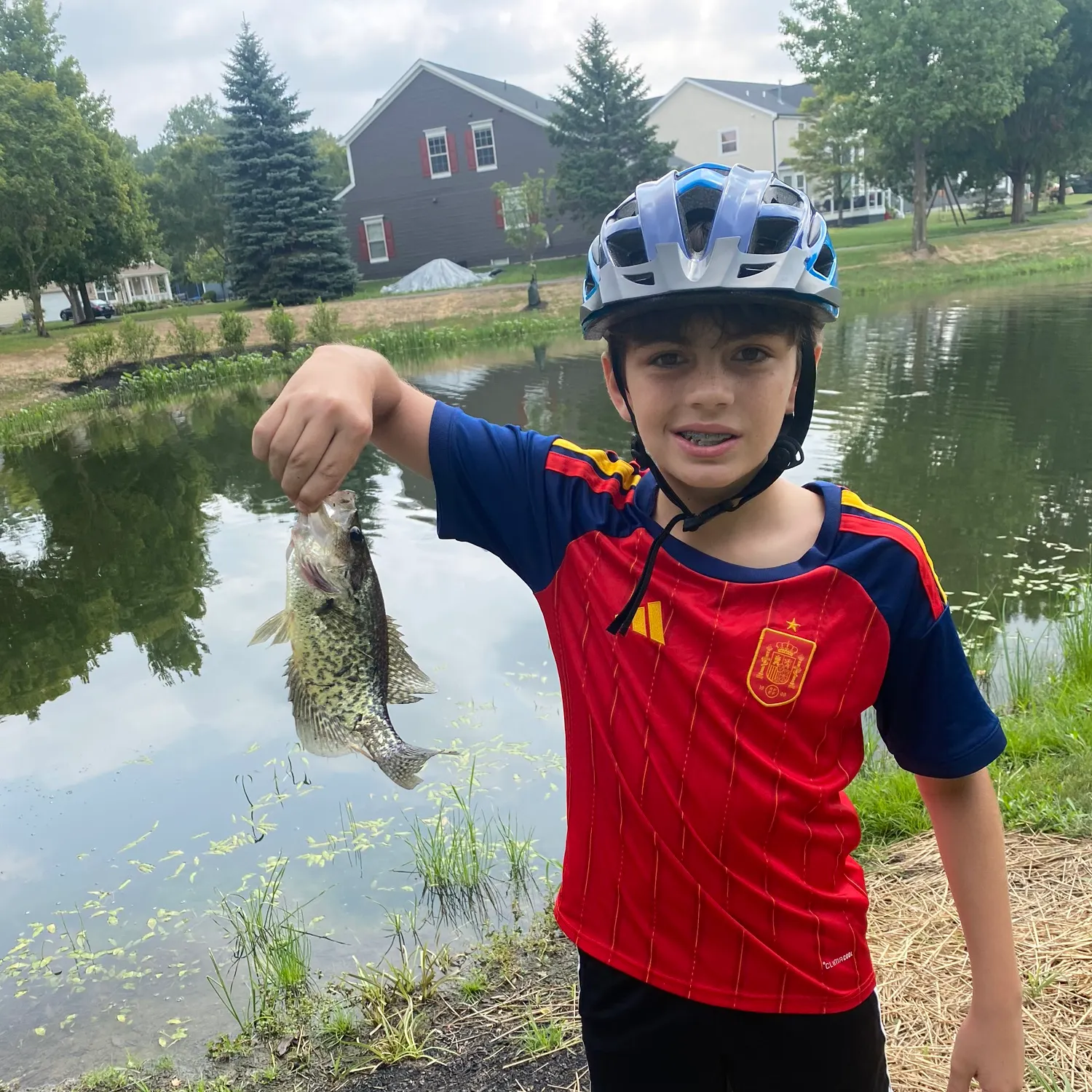 Black crappie caught on Fishbrain