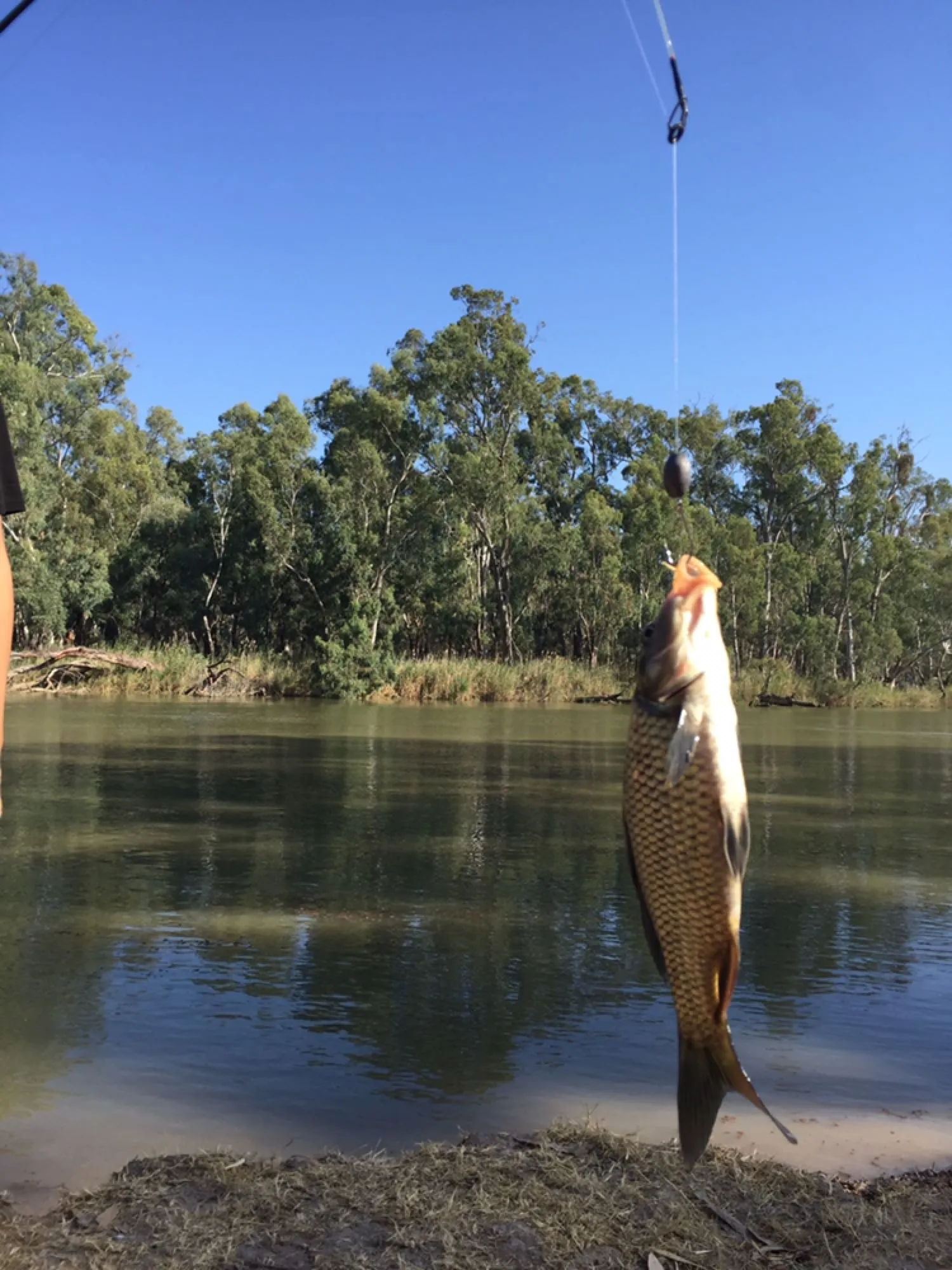 Post image from kingholkh