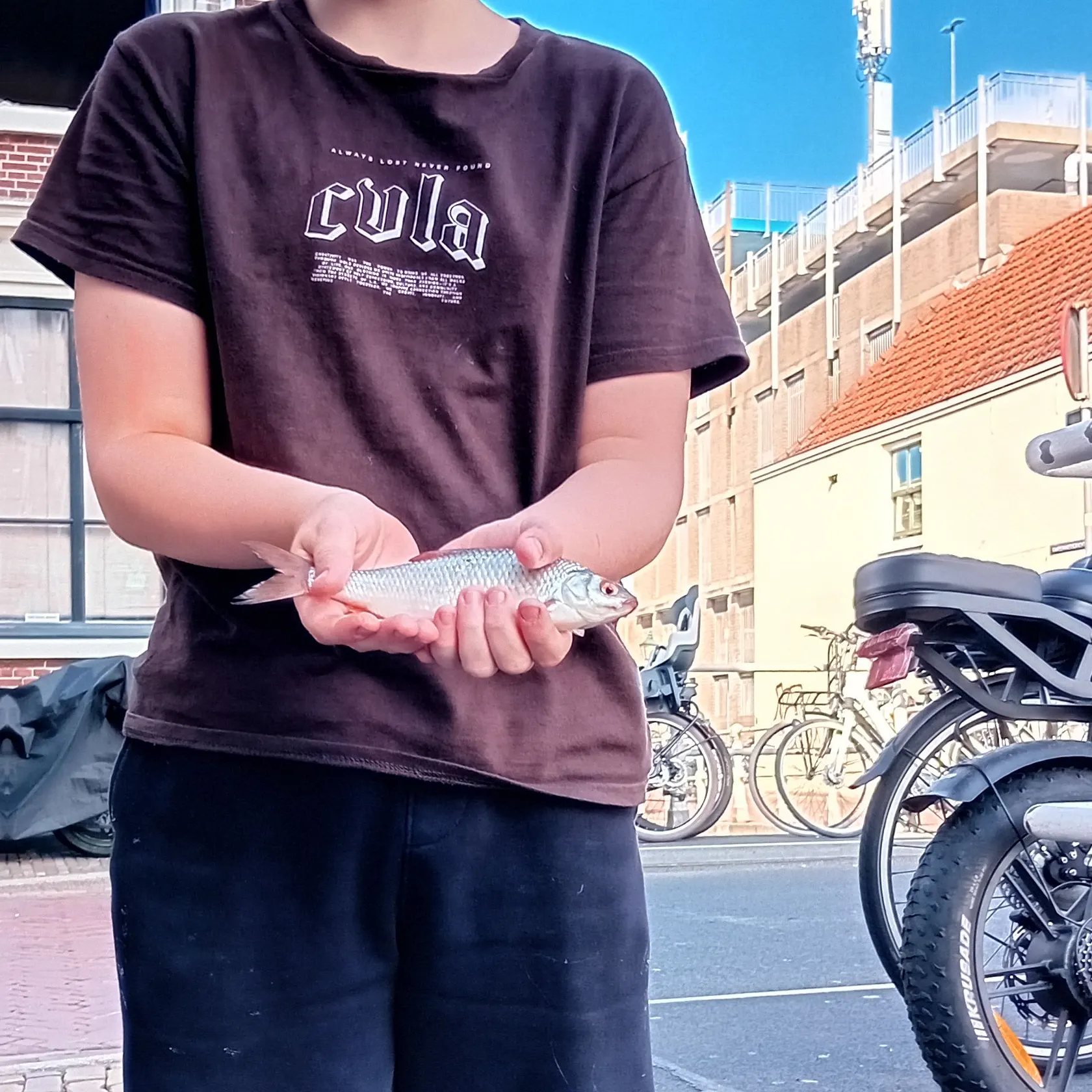 Common roach caught on Fishbrain