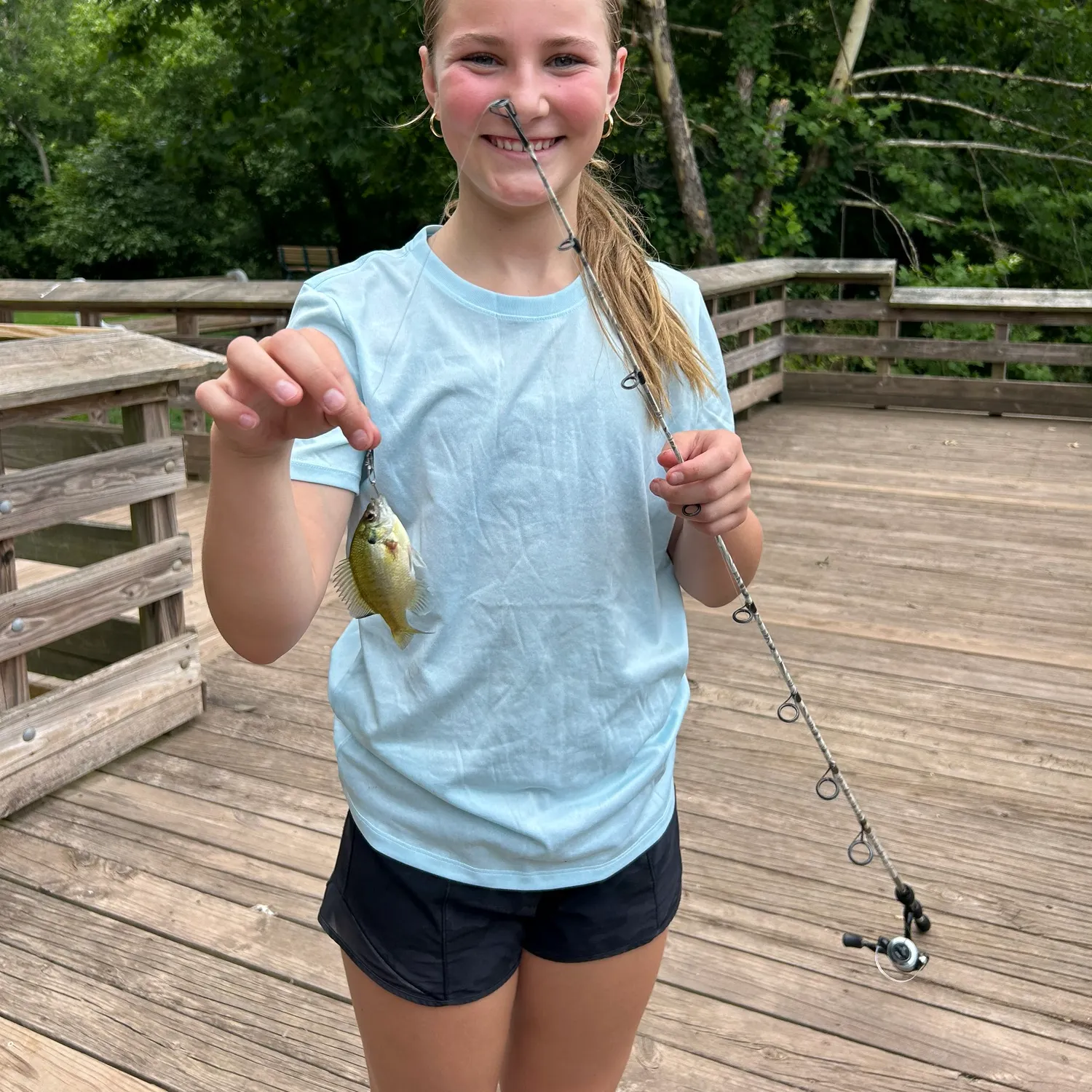 The most recent Bluegill x longear sunfish catches on Fishbrain