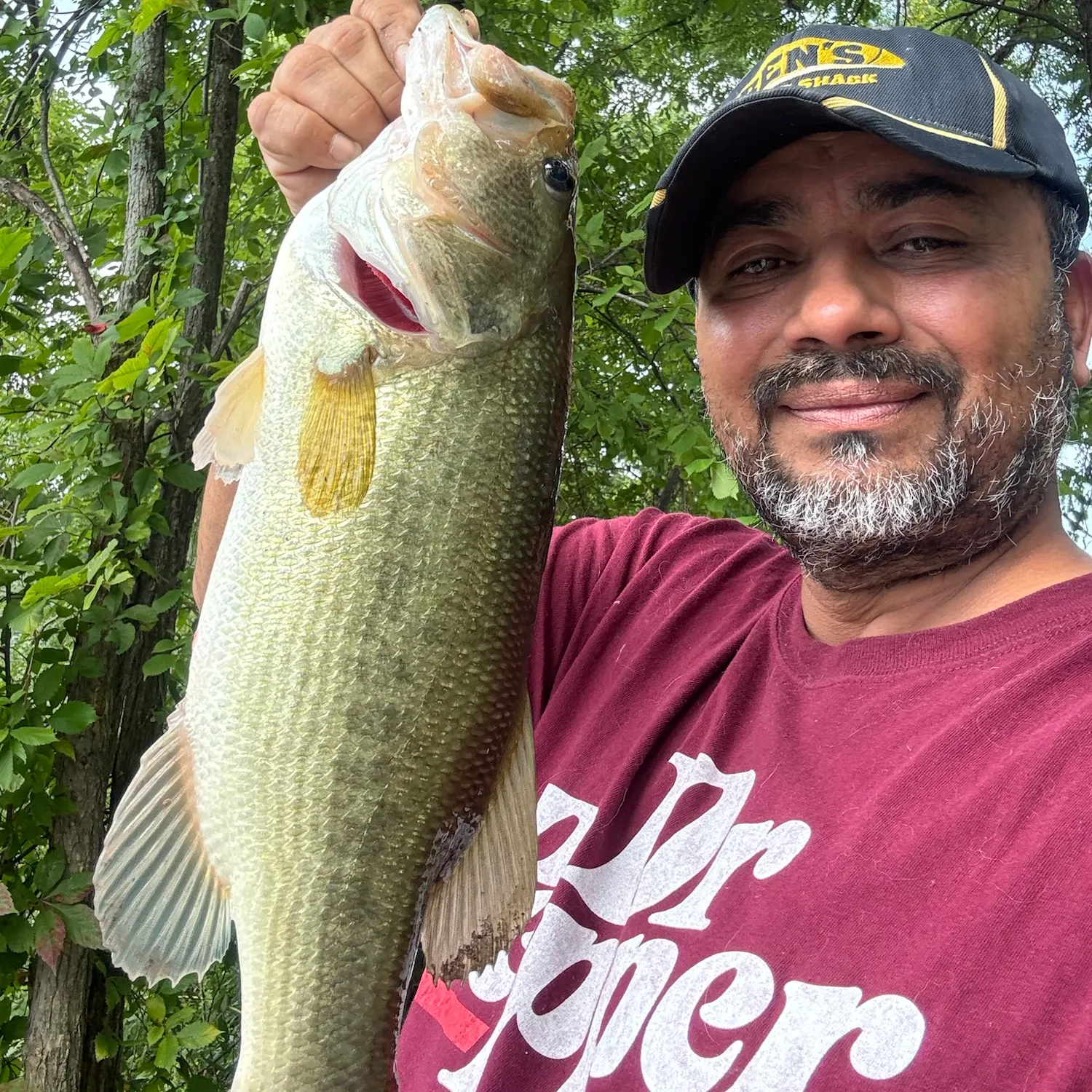 Largemouth bass caught on Fishbrain