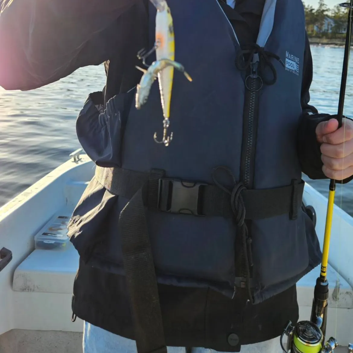 The most recent Three-spined stickleback catches on Fishbrain