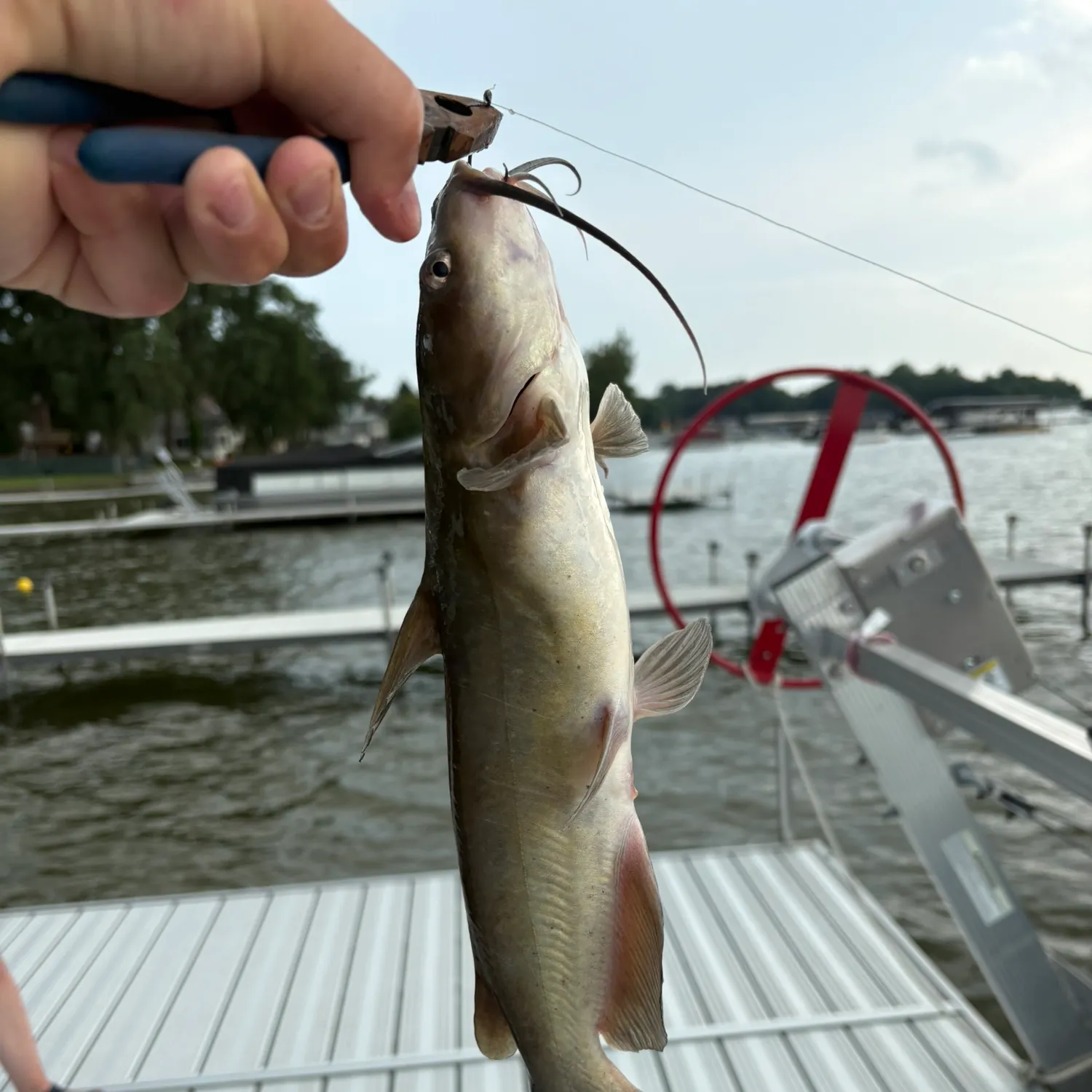 catch