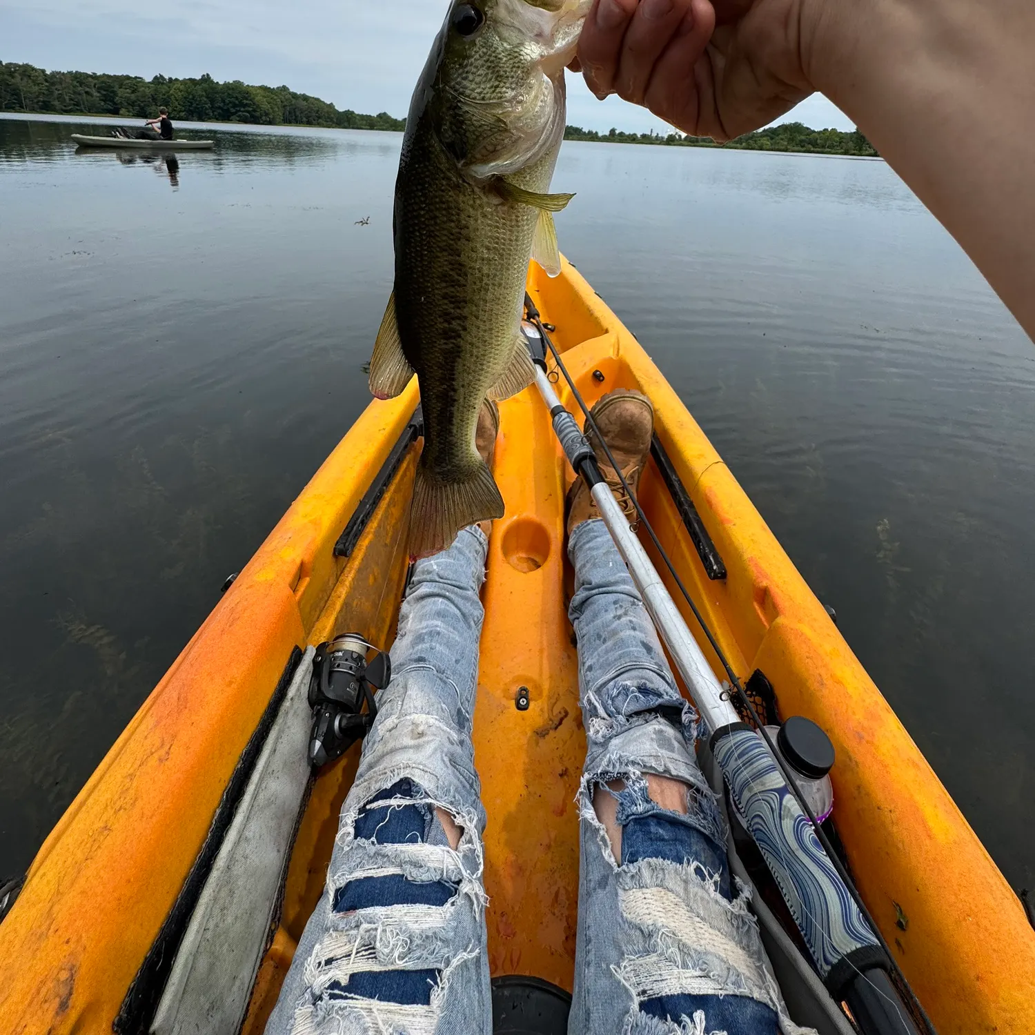 Largemouth bass caught on Fishbrain