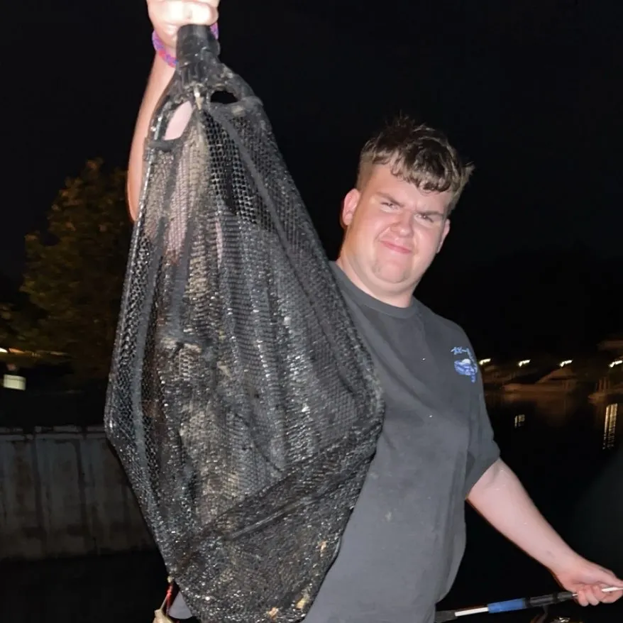 The most recent Spiny softshell turtle catches on Fishbrain