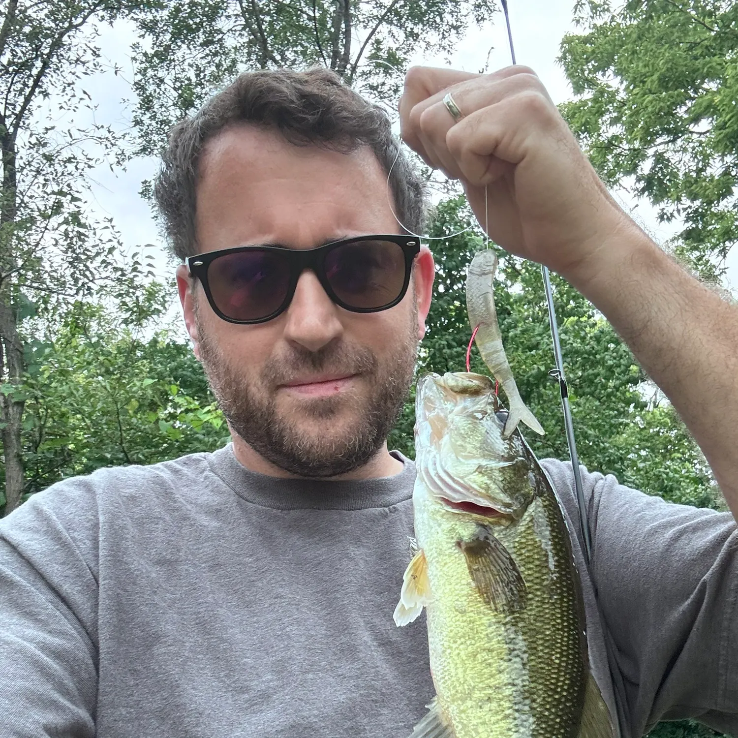 Largemouth bass caught on Fishbrain