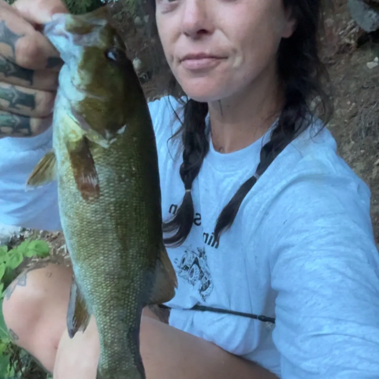 Smallmouth bass caught on Fishbrain