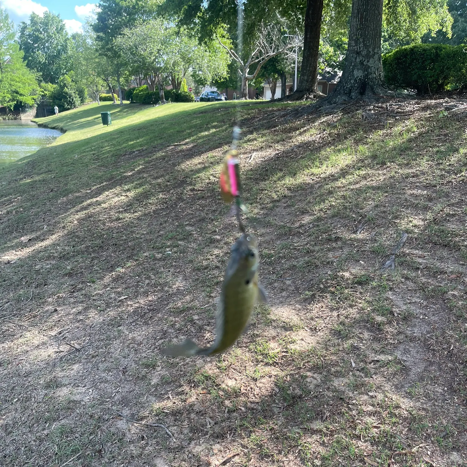 catch