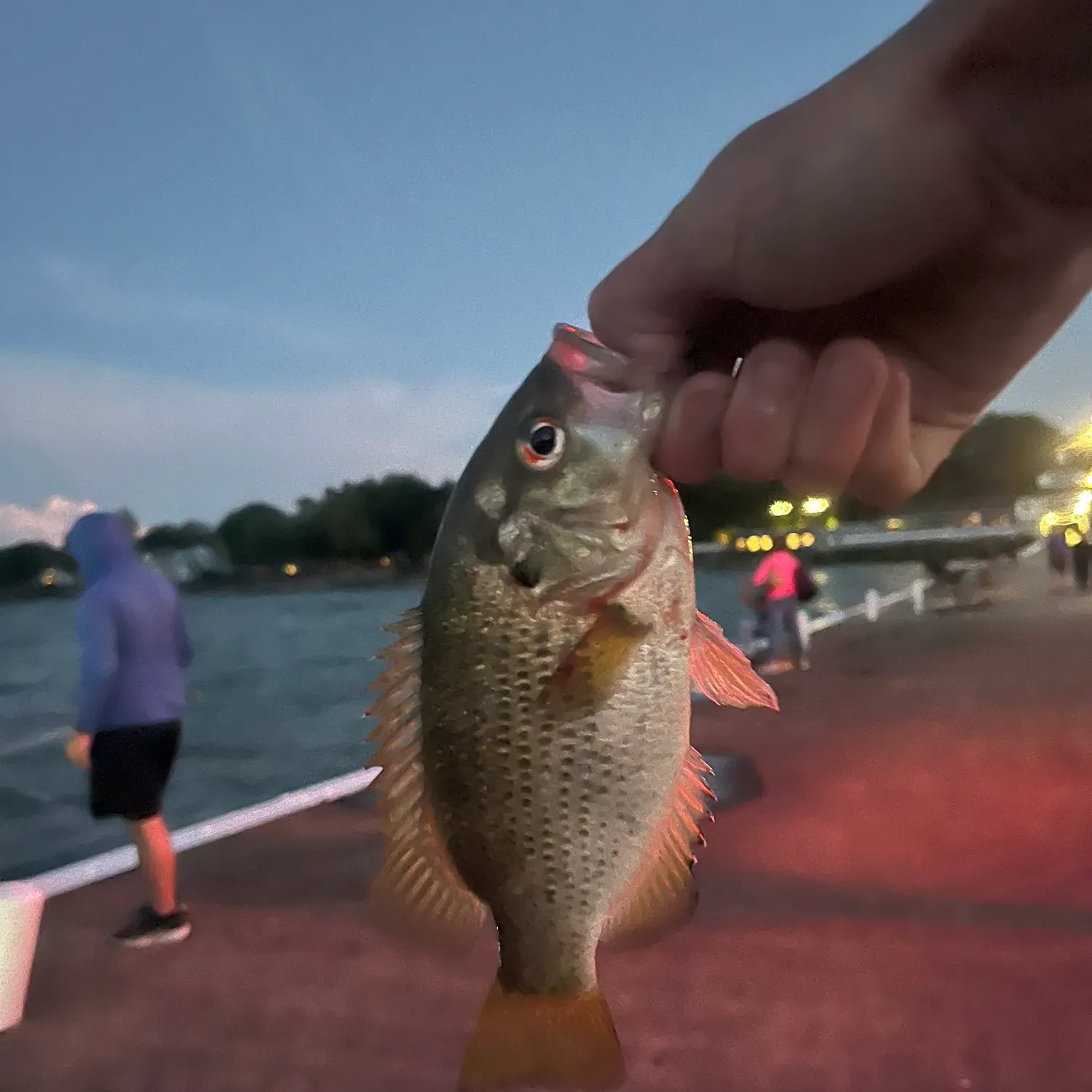 catch