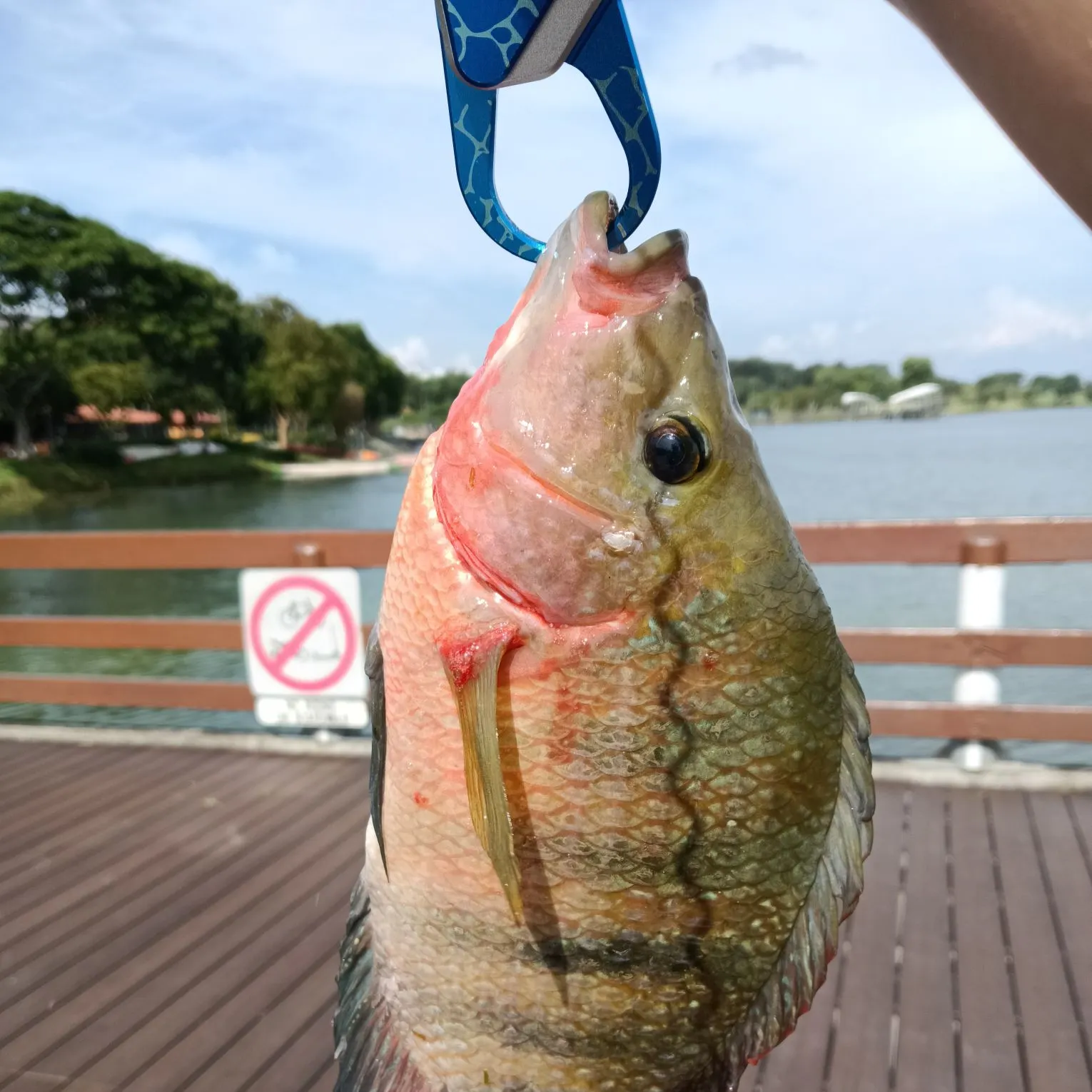 catch