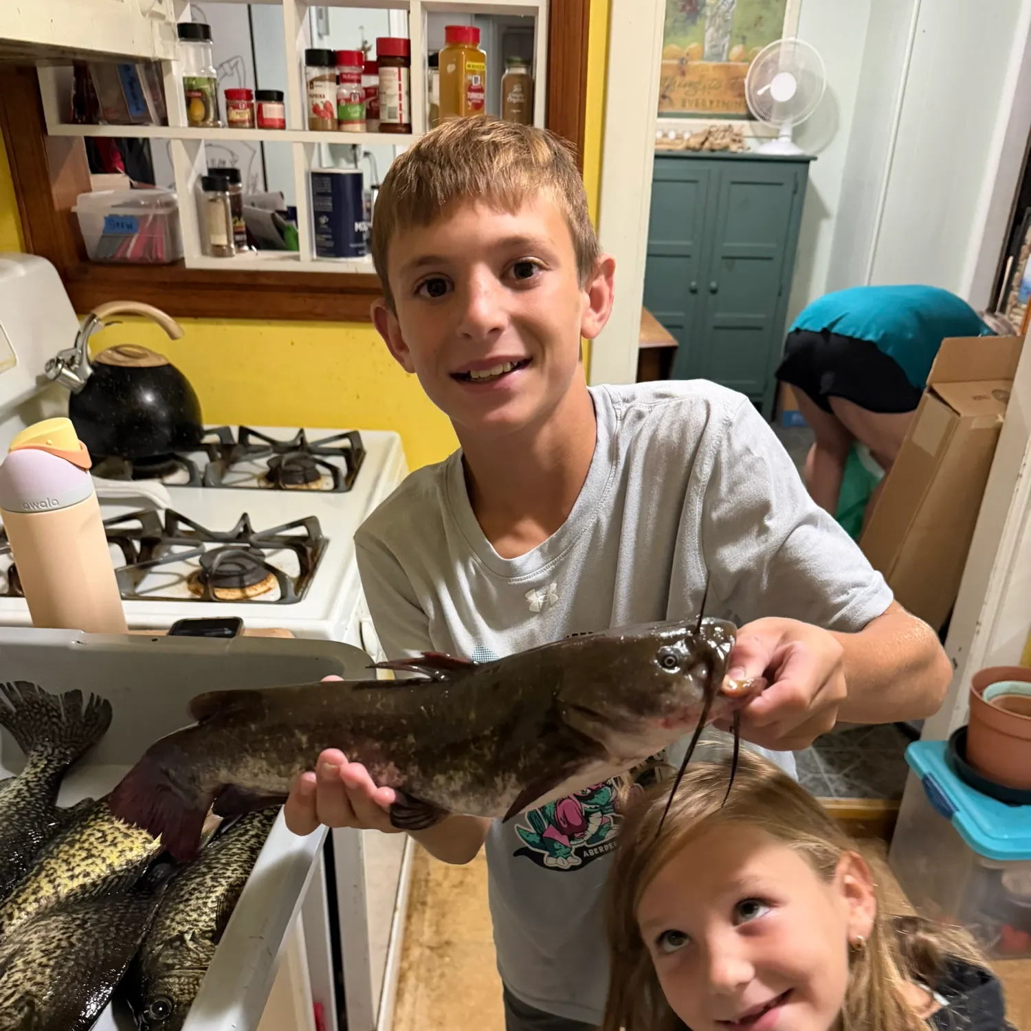 Black bullhead caught on Fishbrain