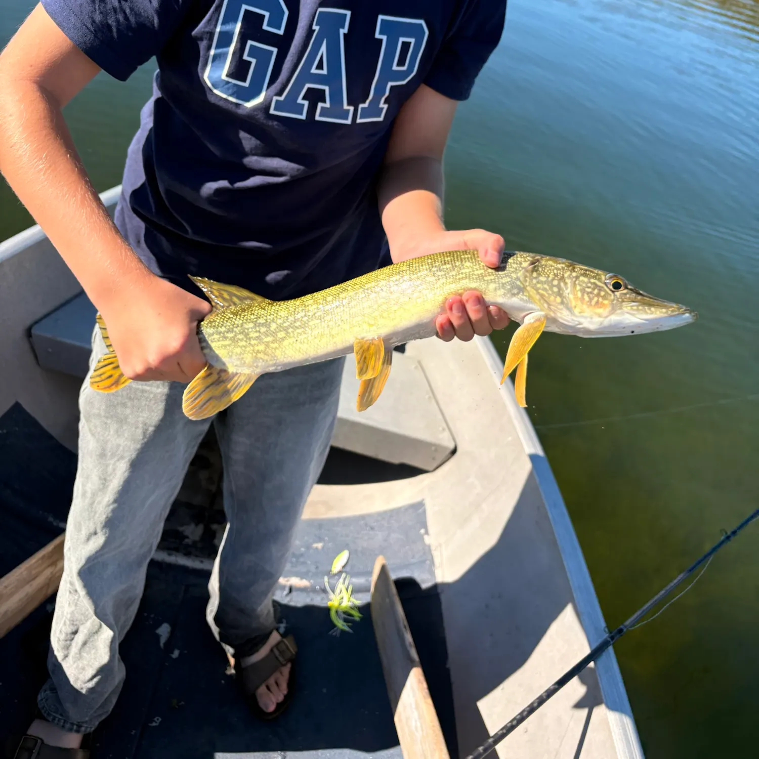 Northern pike caught on Fishbrain