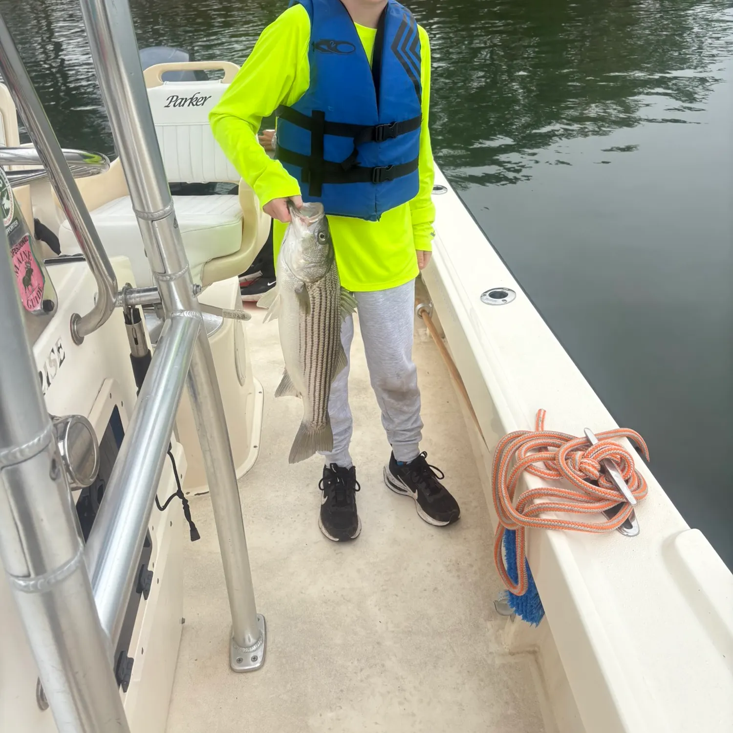 Striped bass caught on Fishbrain