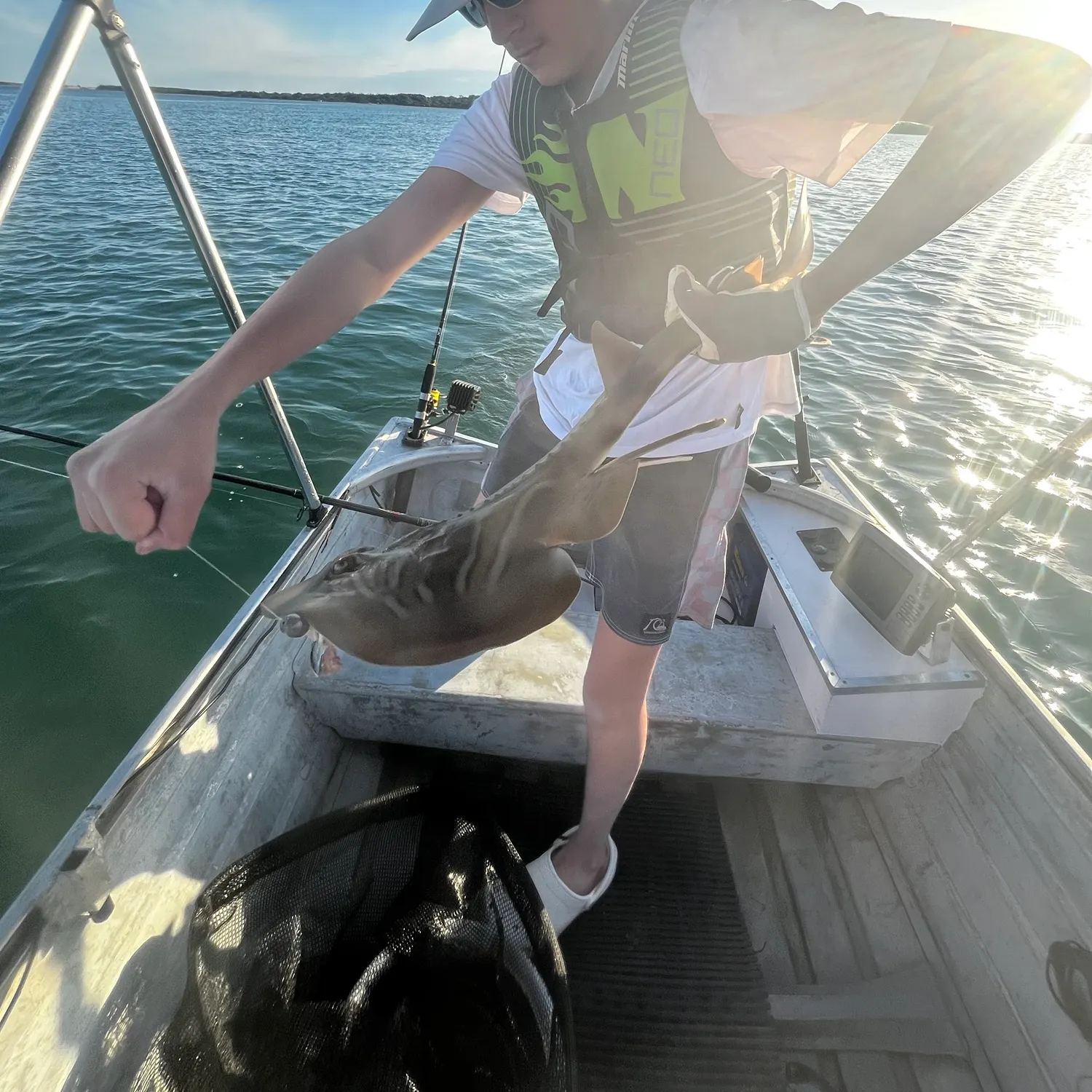 Southern fiddler caught on Fishbrain