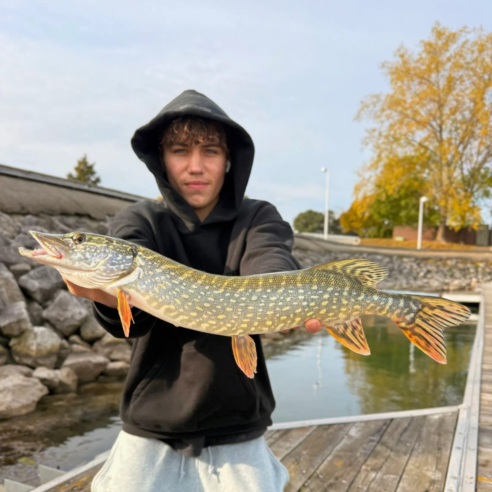Northern pike caught on Fishbrain