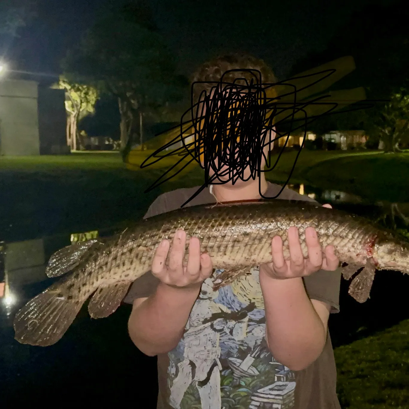 The most recent Florida gar catches on Fishbrain
