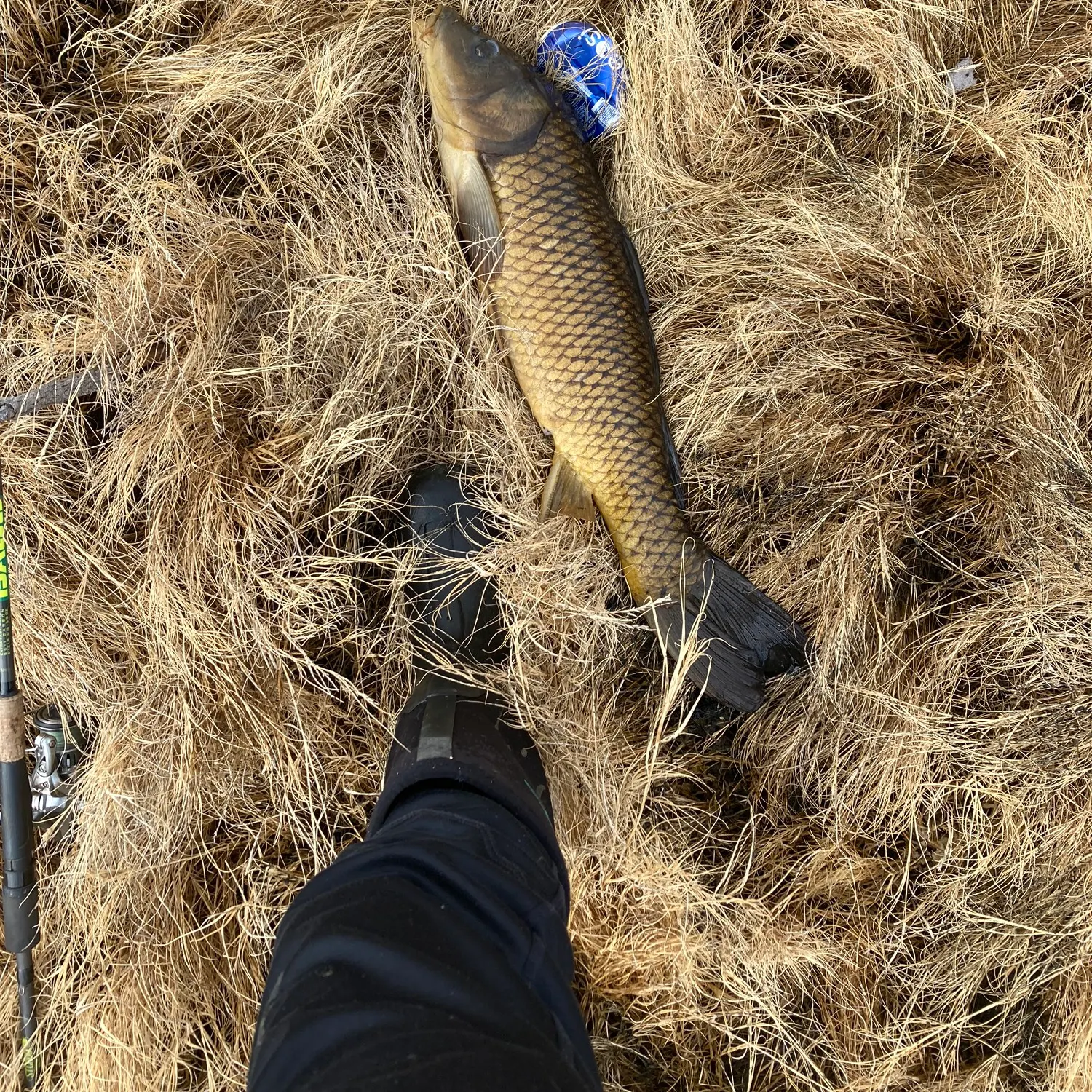 angler catch