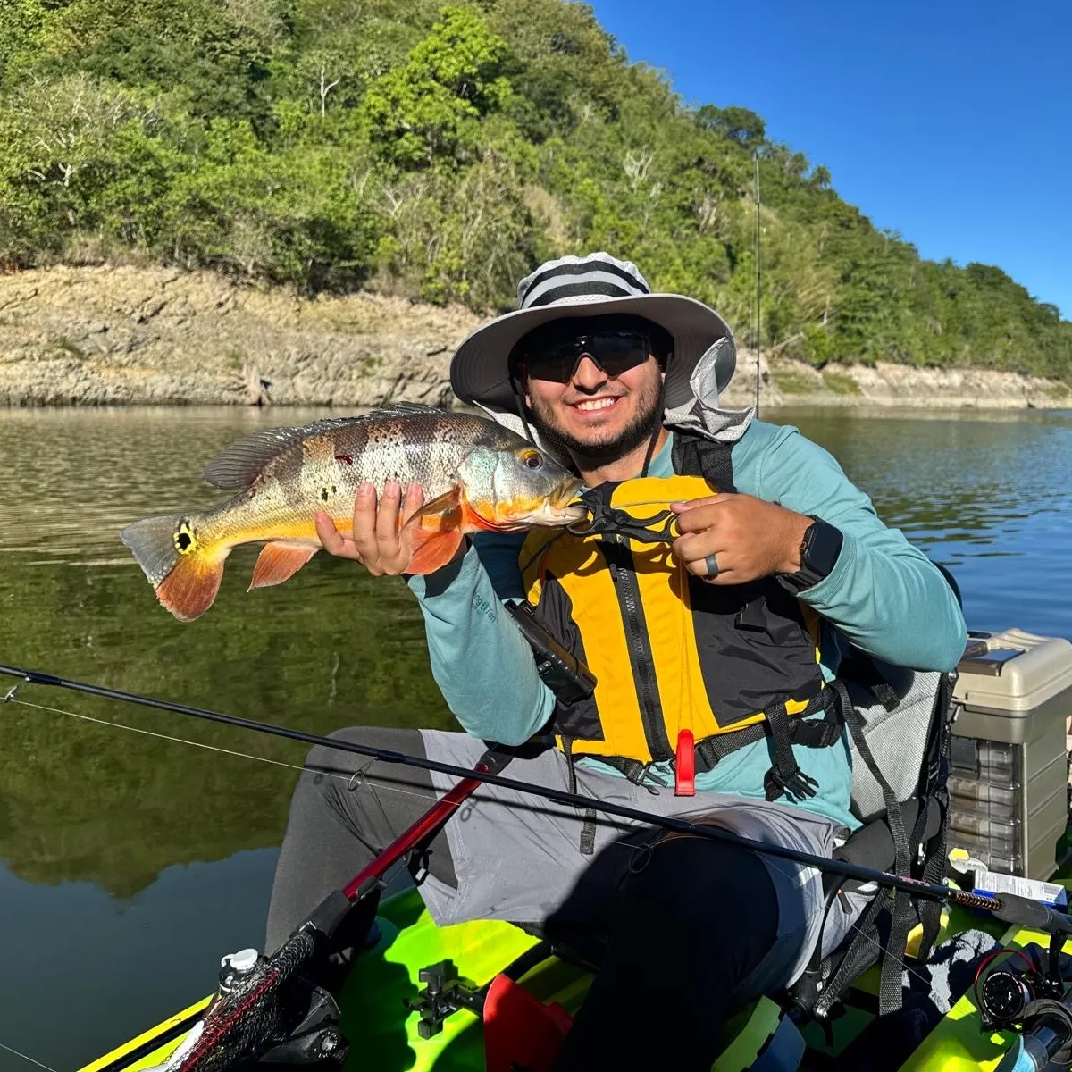 Butterfly peacock bass caught on Fishbrain