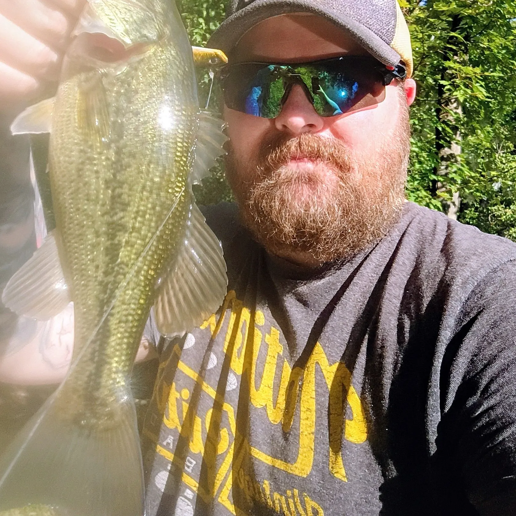 Largemouth bass caught on Fishbrain