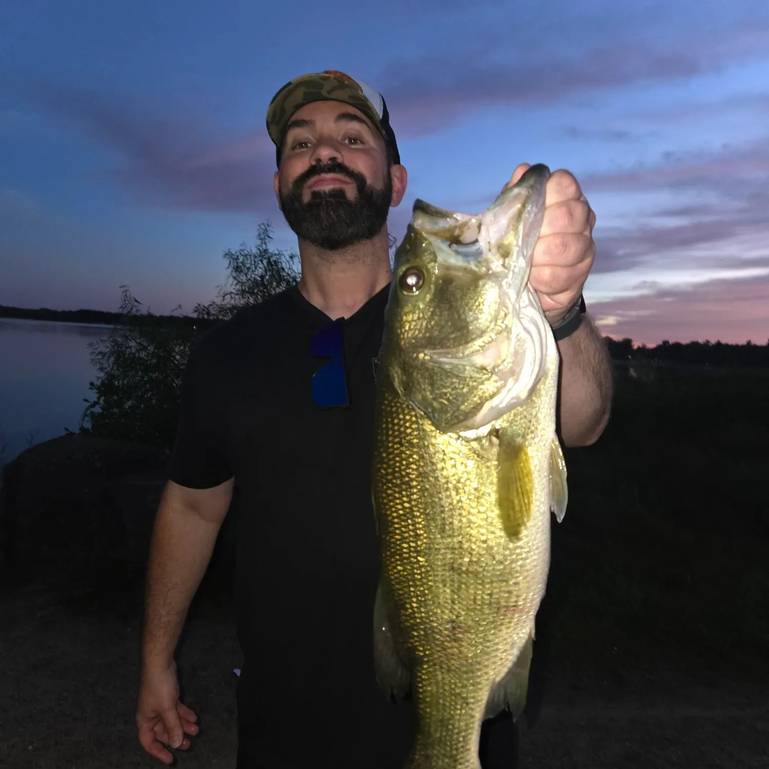 Largemouth bass caught on Fishbrain