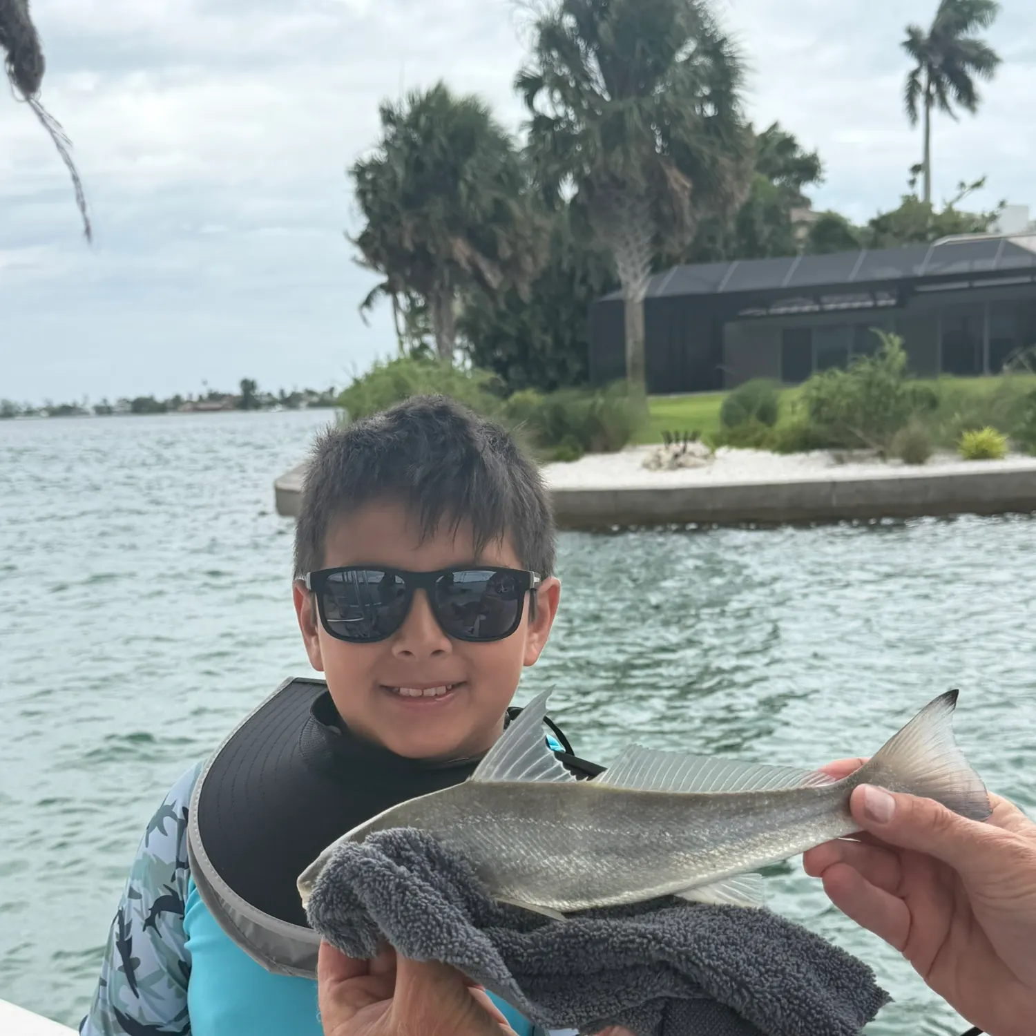 The most recent Blue whiting catches on Fishbrain