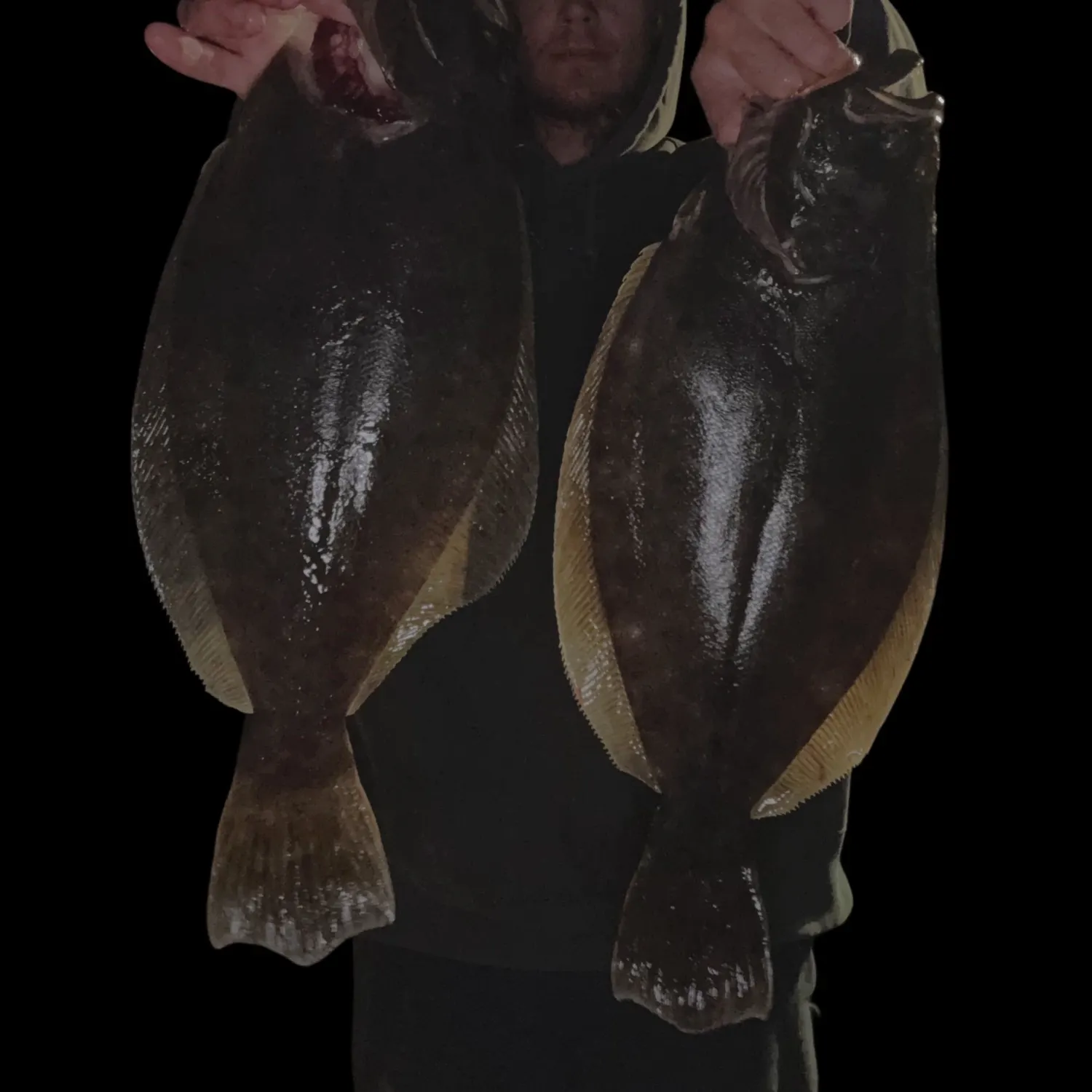 Summer flounder caught on Fishbrain