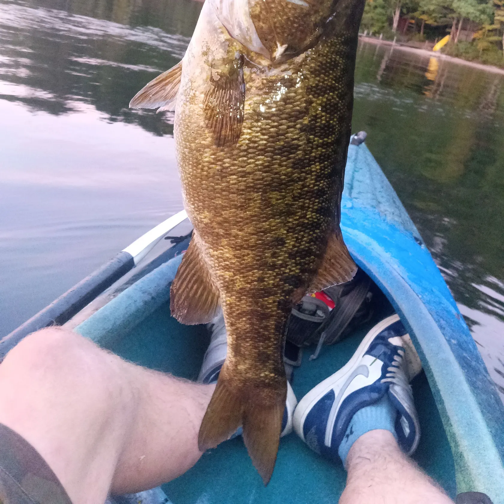 Smallmouth bass caught on Fishbrain