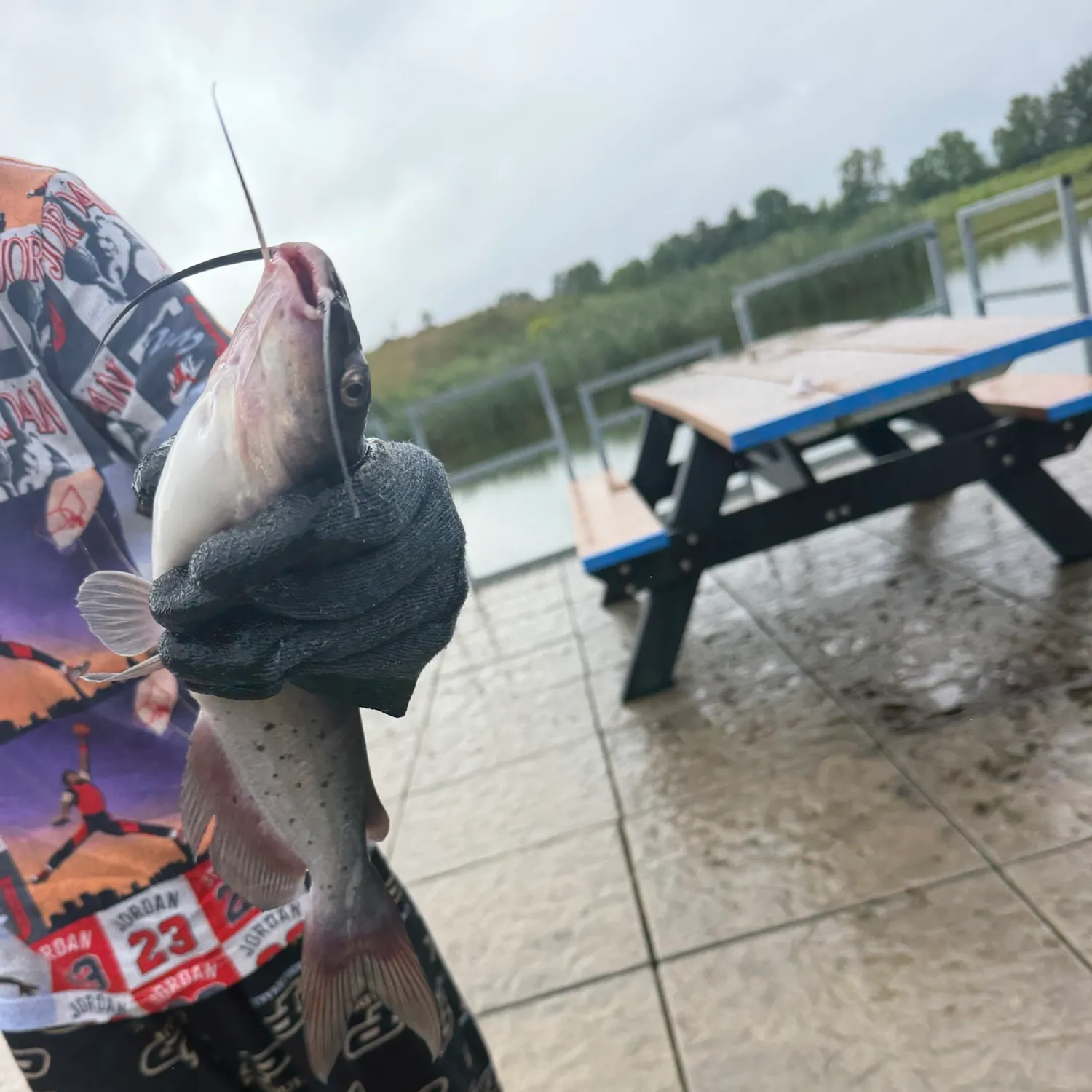 catch