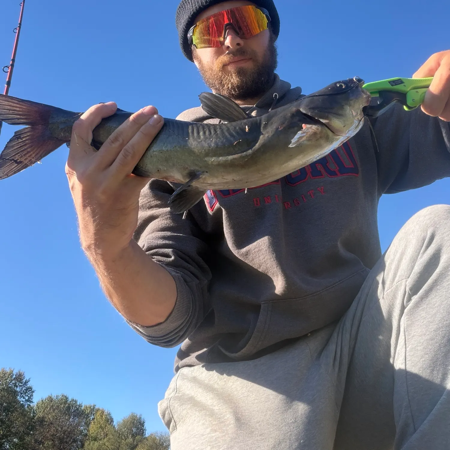 Channel catfish caught on Fishbrain