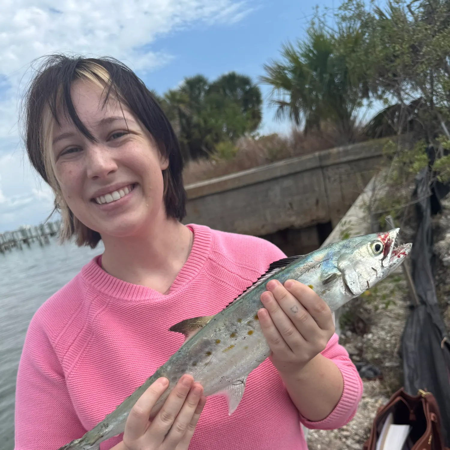 The most recent Spanish mackerel catches on Fishbrain