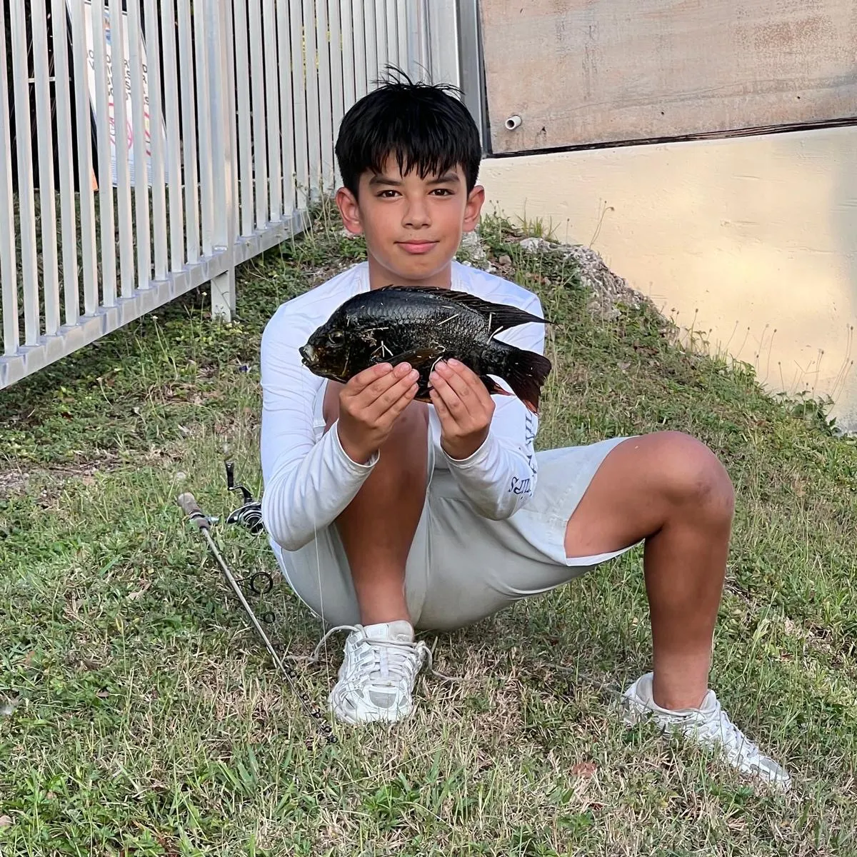 The most recent Midas cichlid catches on Fishbrain