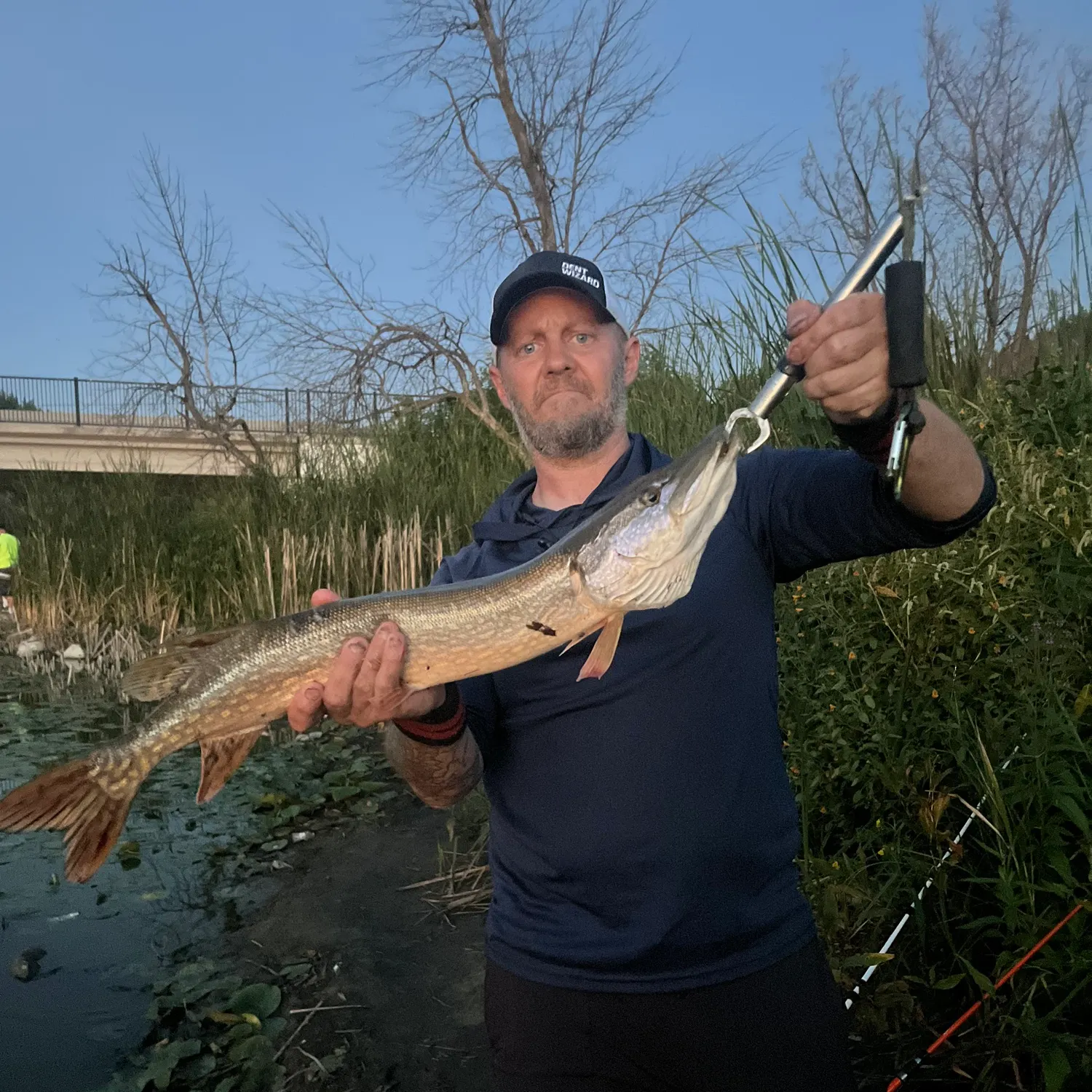 Northern pike caught on Fishbrain