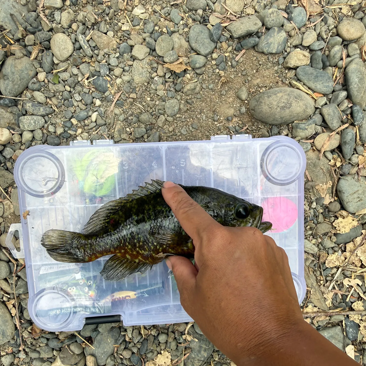 catch