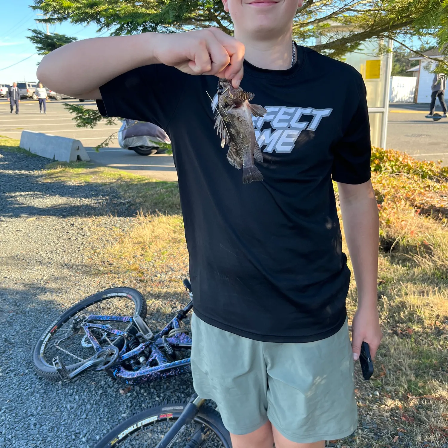 Copper rockfish caught on Fishbrain