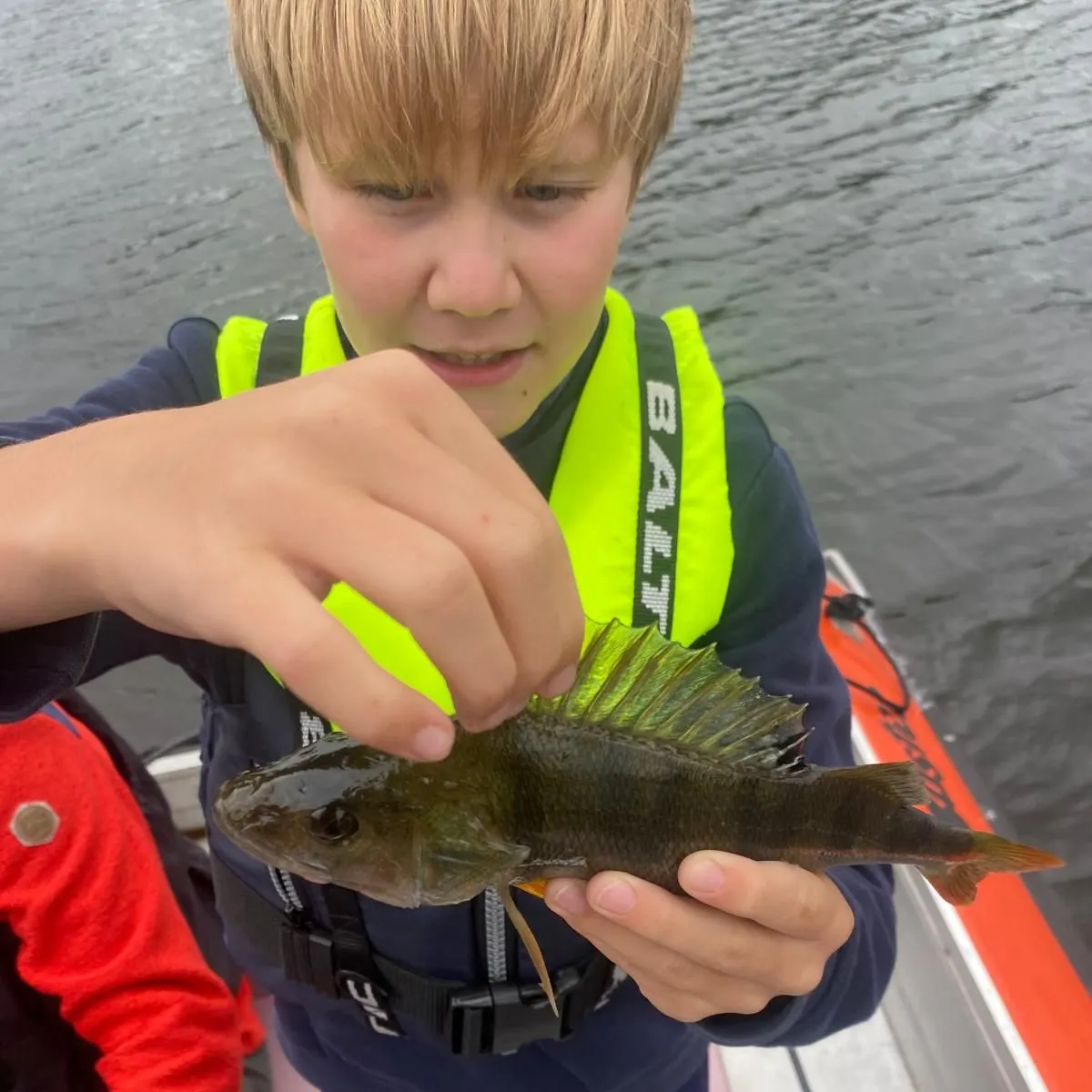 Fish caught on Fishbrain