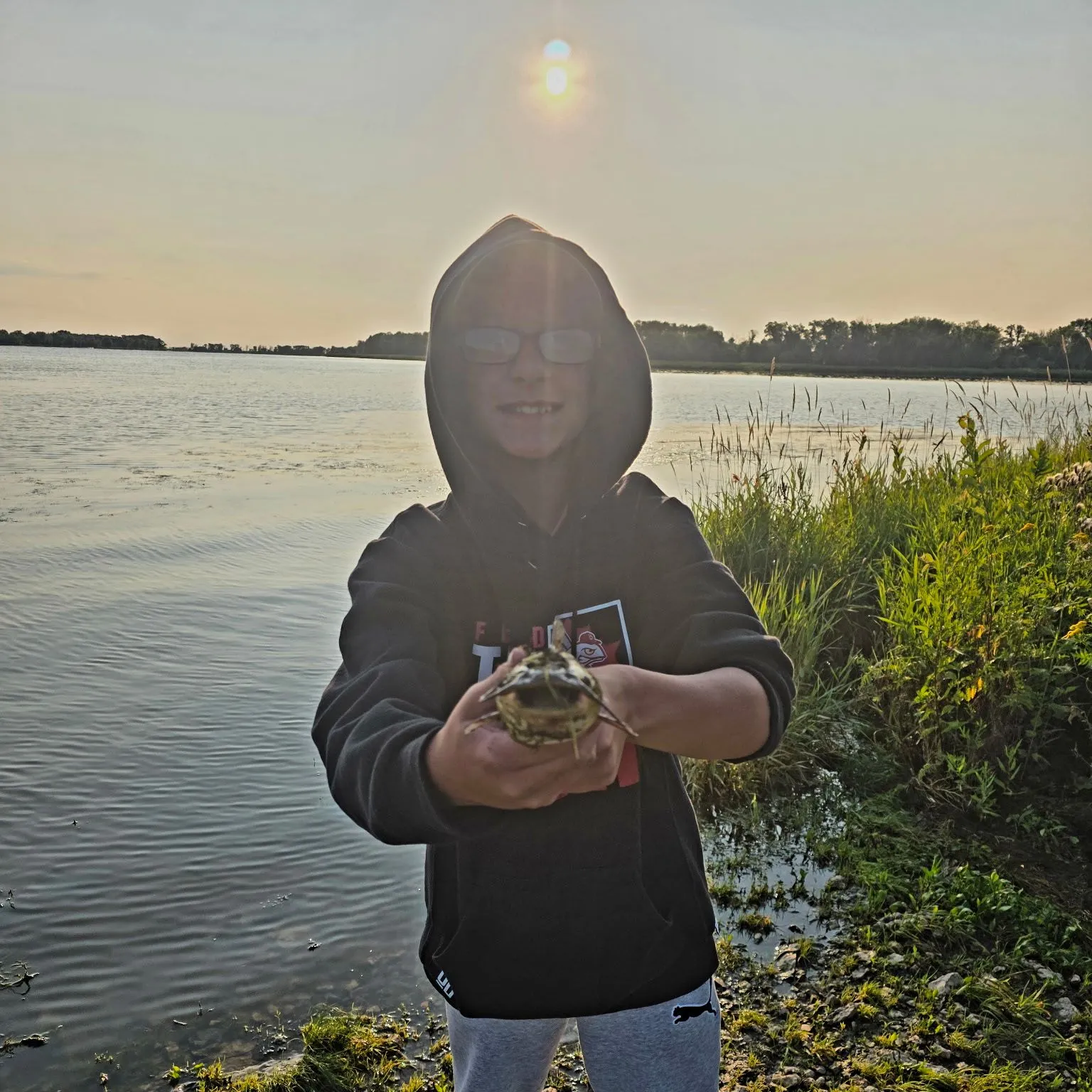 Brown bullhead caught on Fishbrain