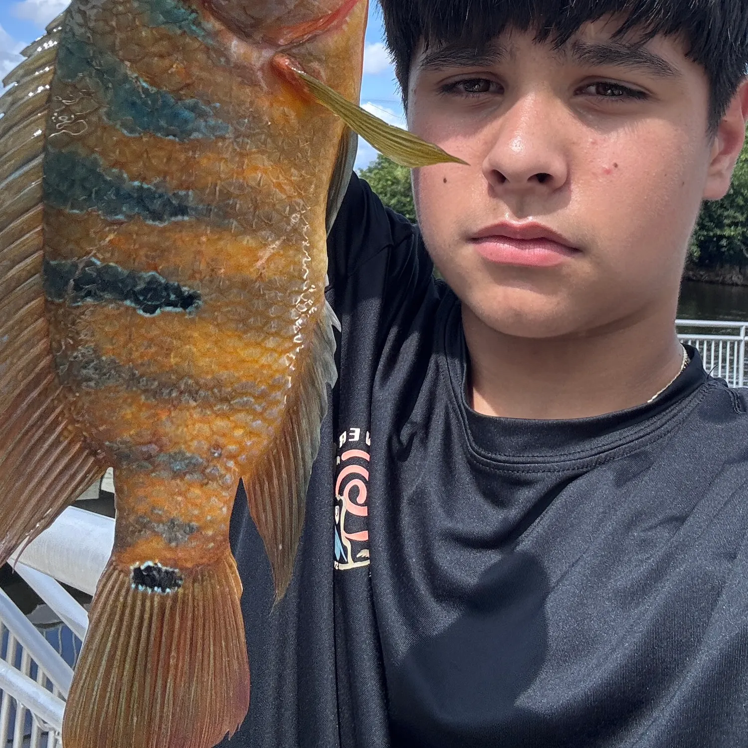 Mayan cichlid caught on Fishbrain